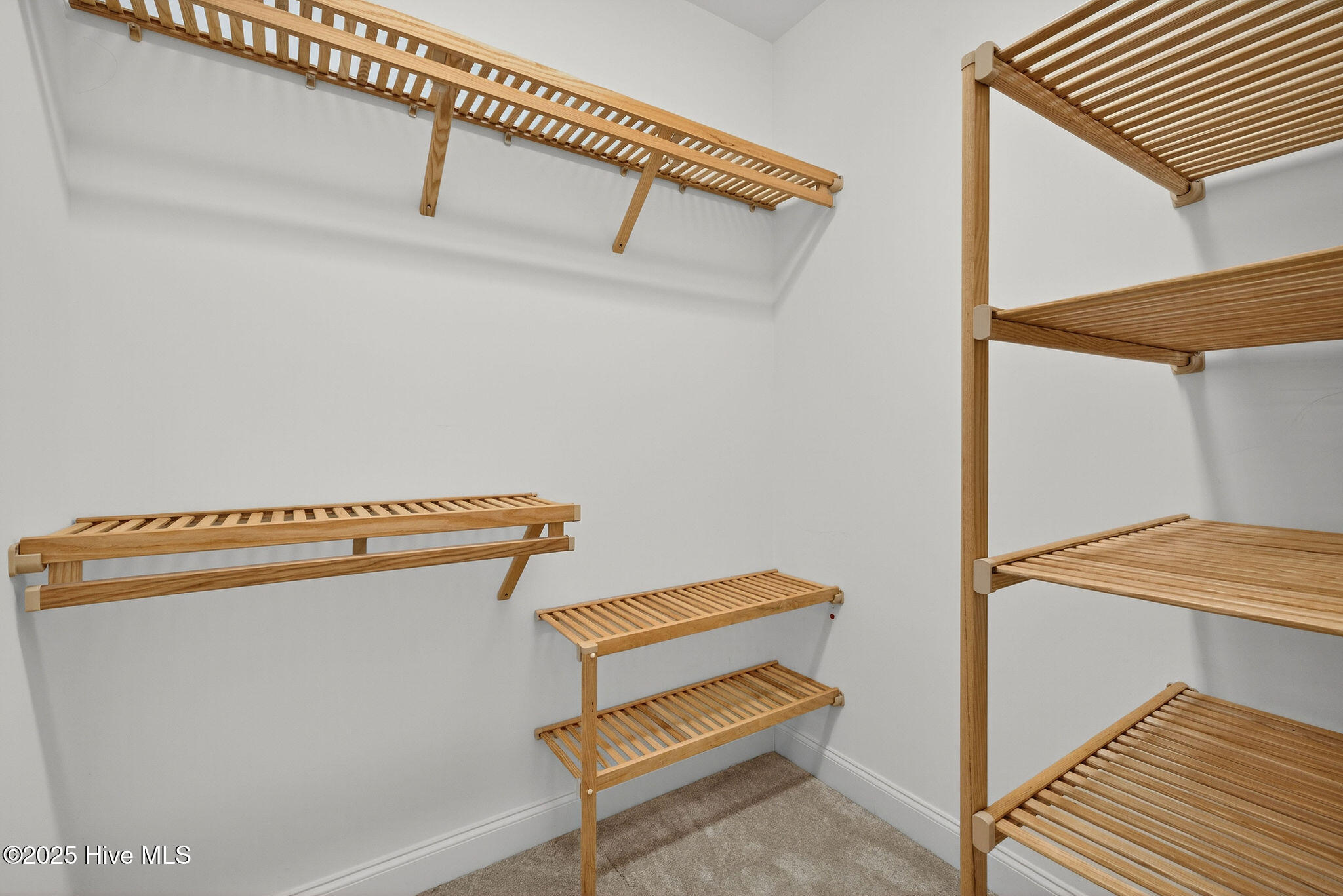 100529139 | Photo 36