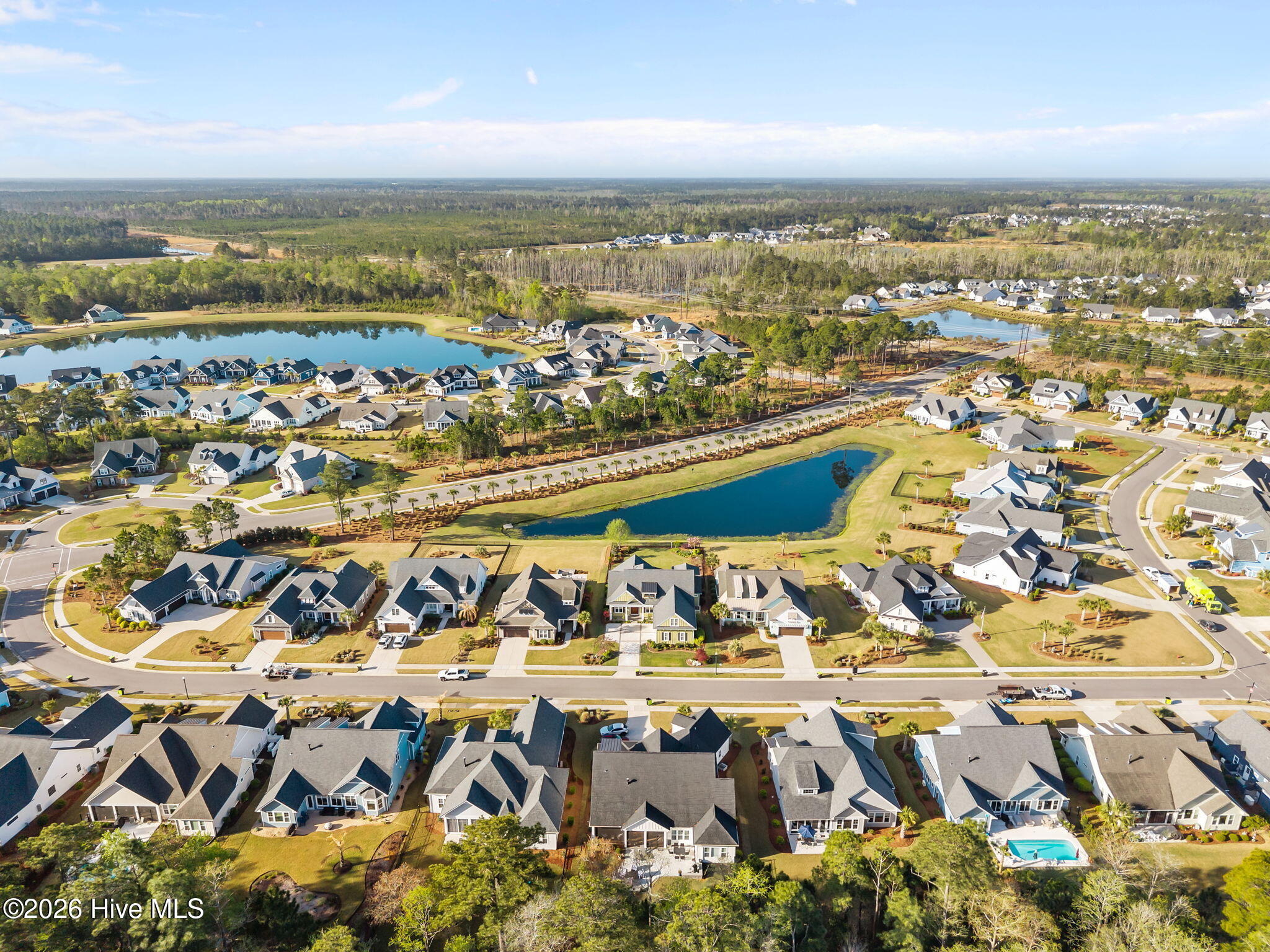 100566700 | Photo 50