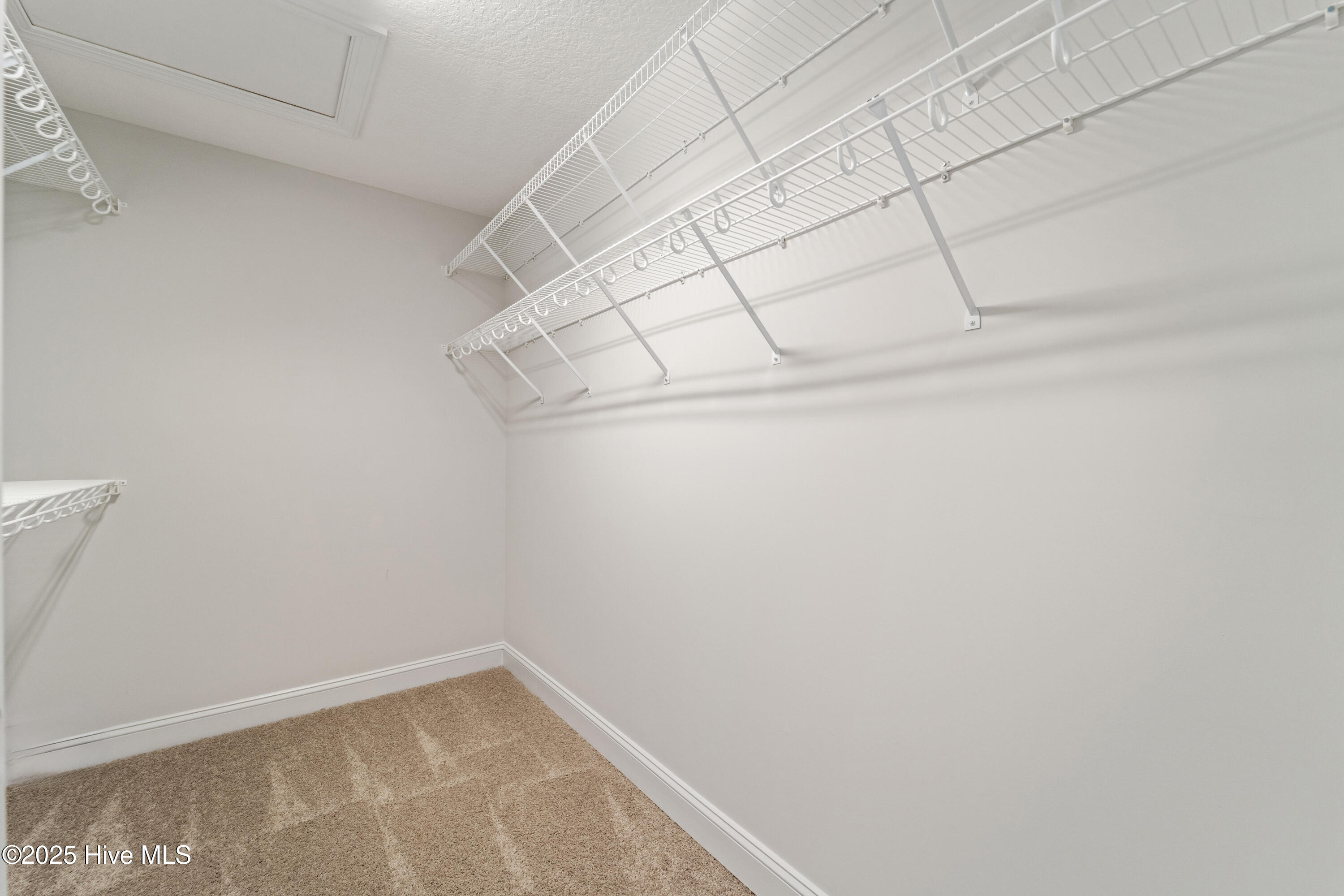 100519002 | Photo 19