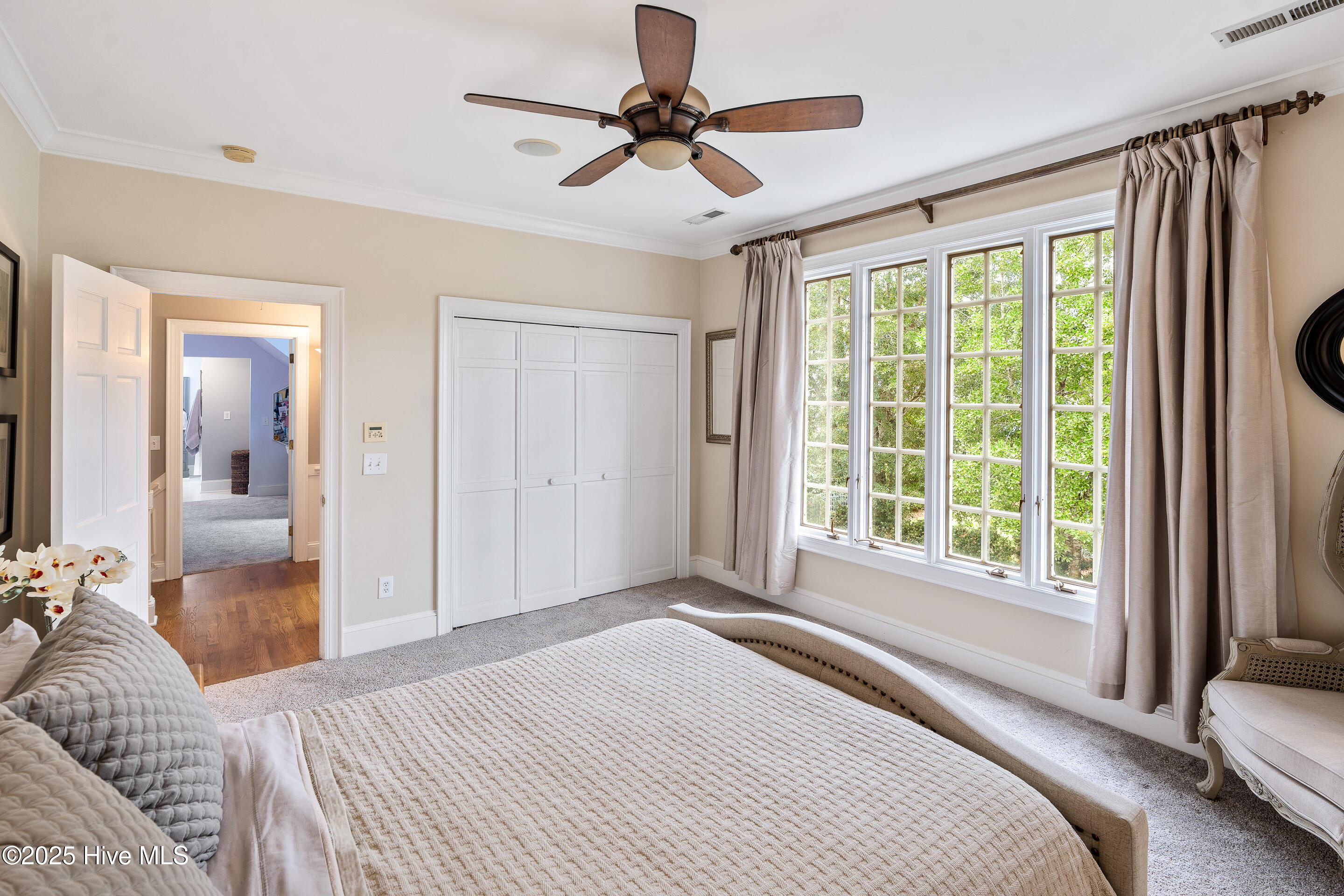 100530857 | Photo 58