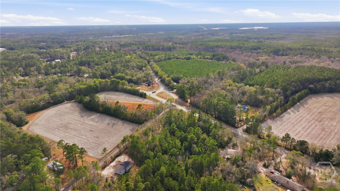 Homes for sale in Rincon, GA | 0 Nellie Rd, Rincon, GA 31326 | MLS# SA348322