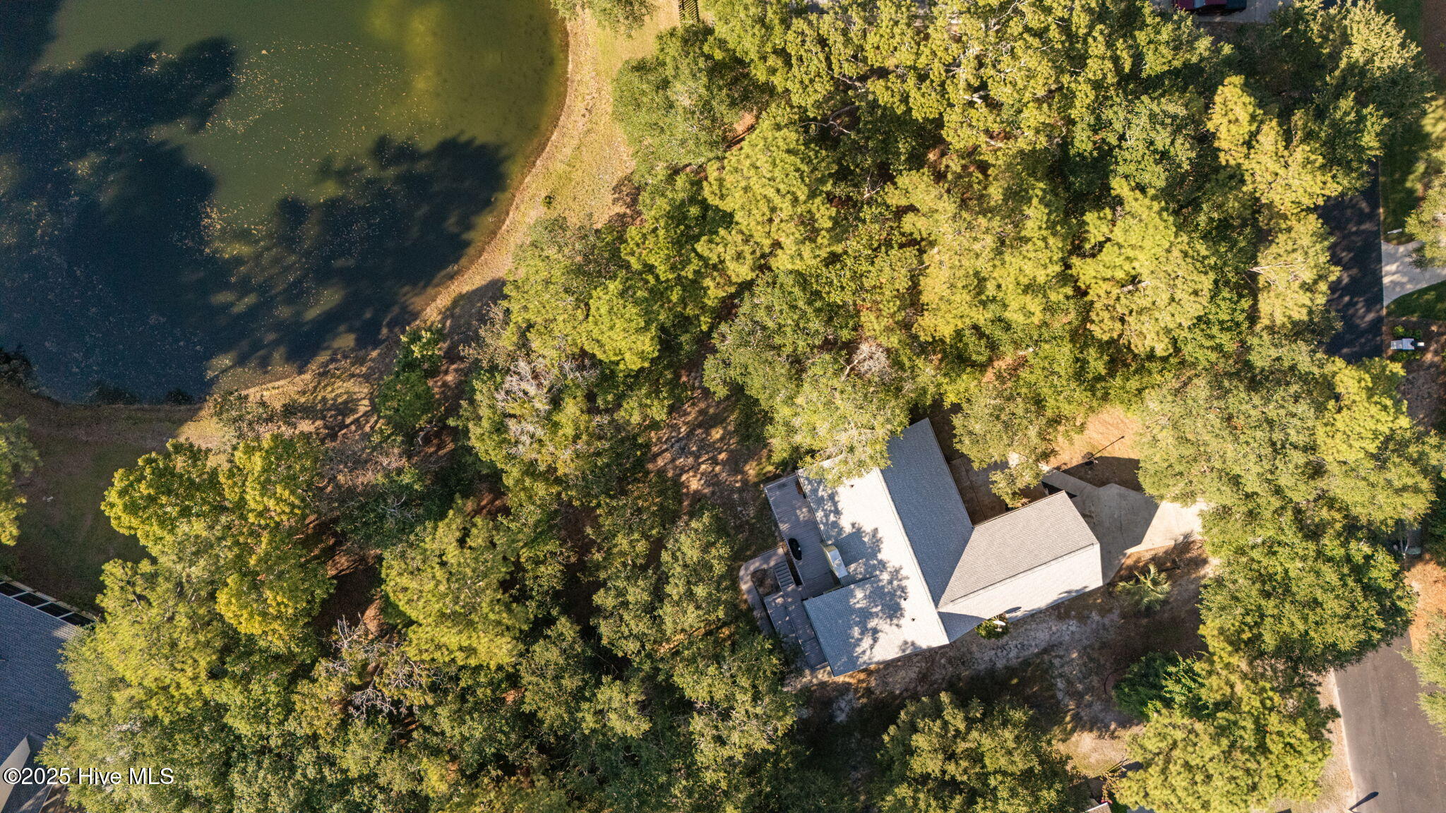 100533176 | Photo 13