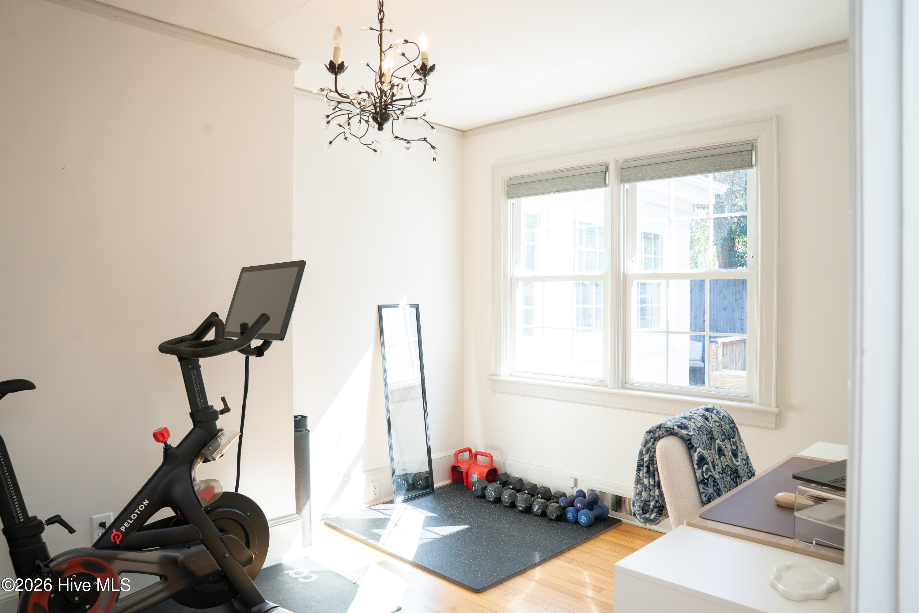 100558476 | Photo 52