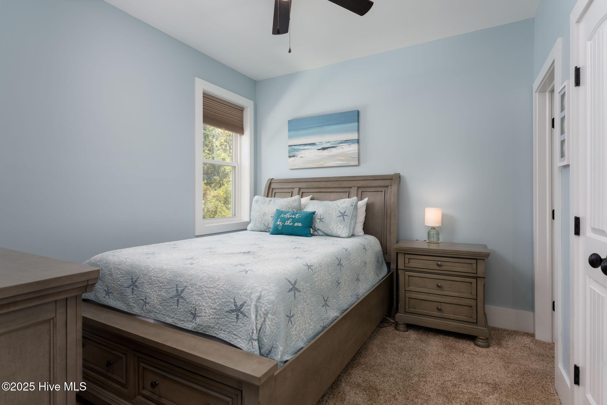 100537095 | Photo 43