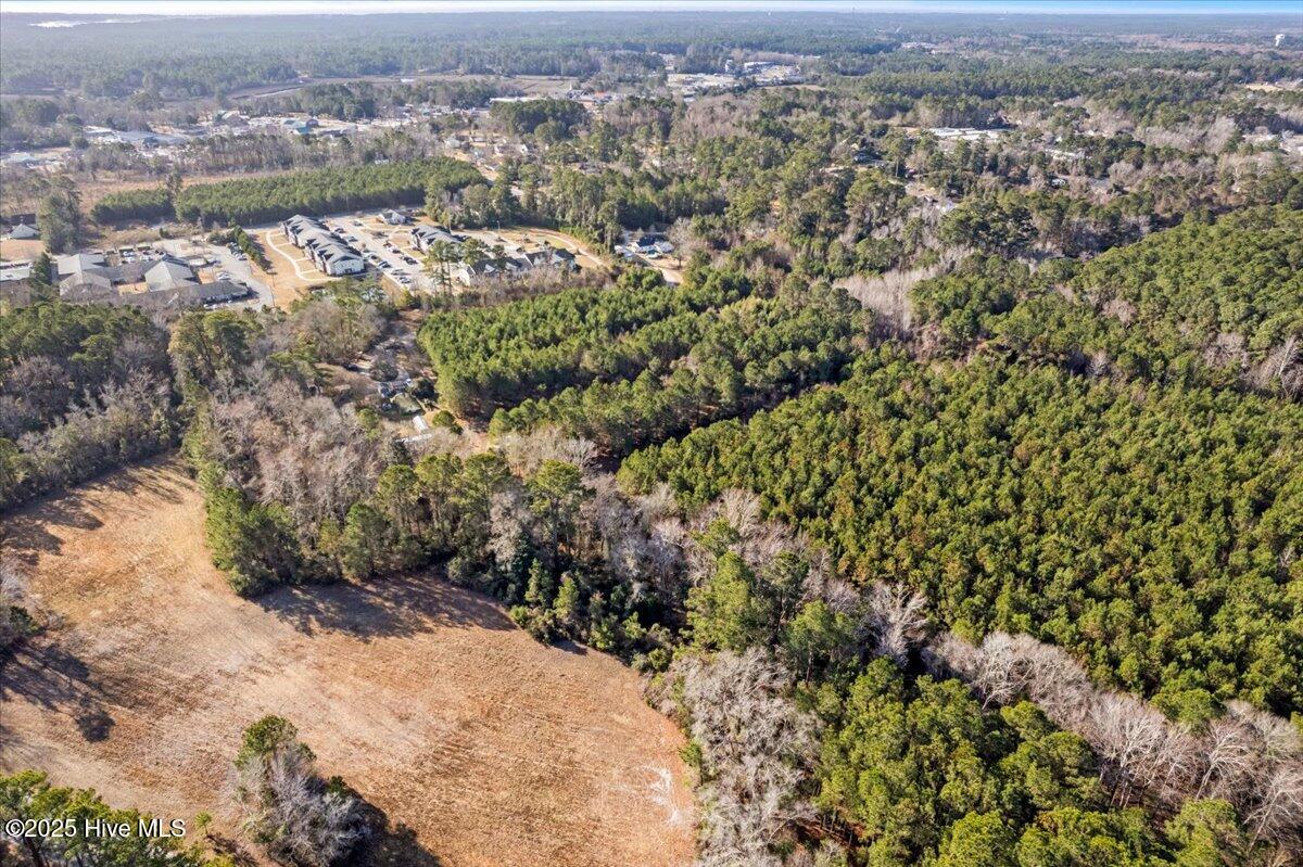 100488410 | Photo 10