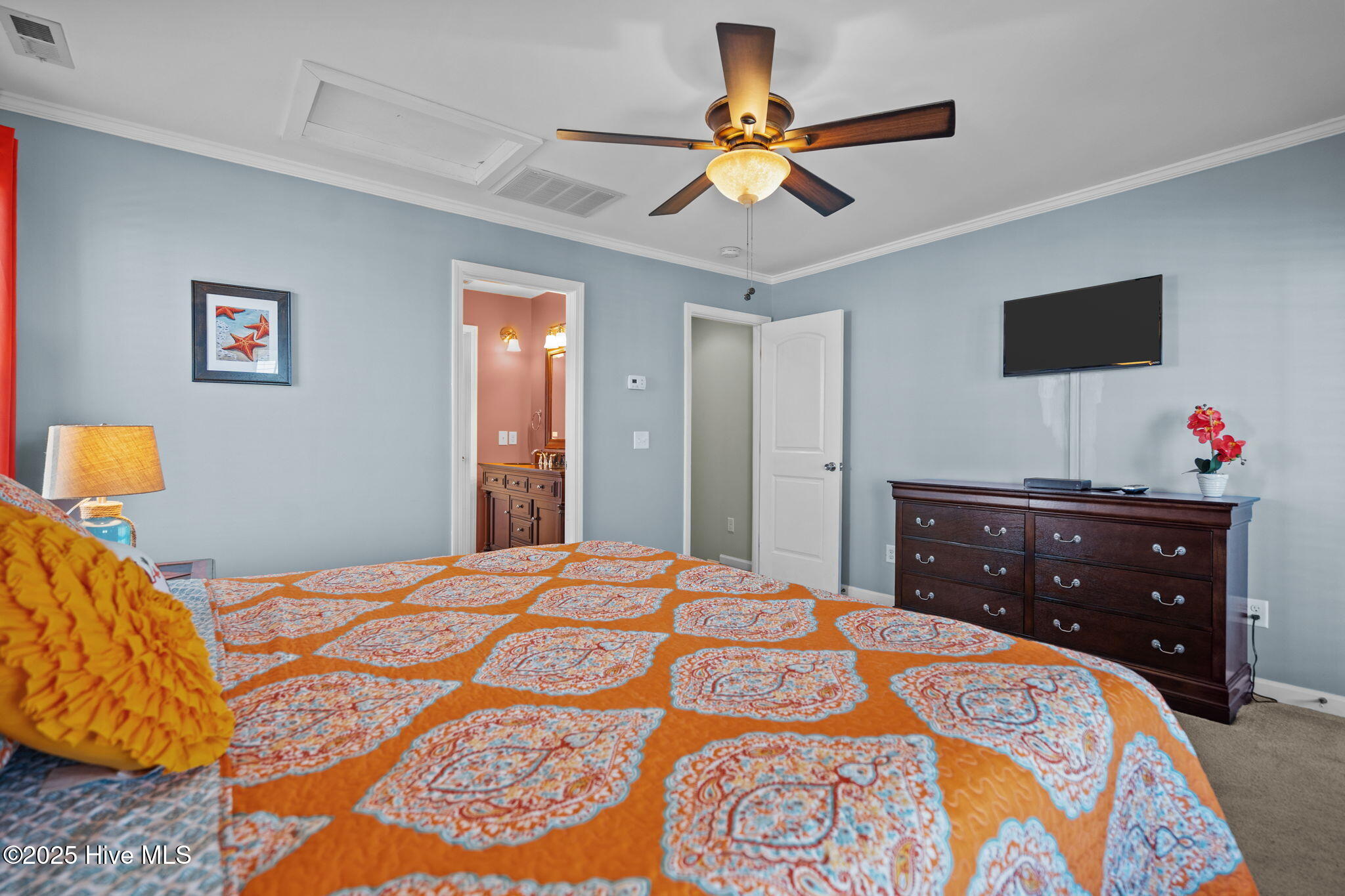 100528642 | Photo 26