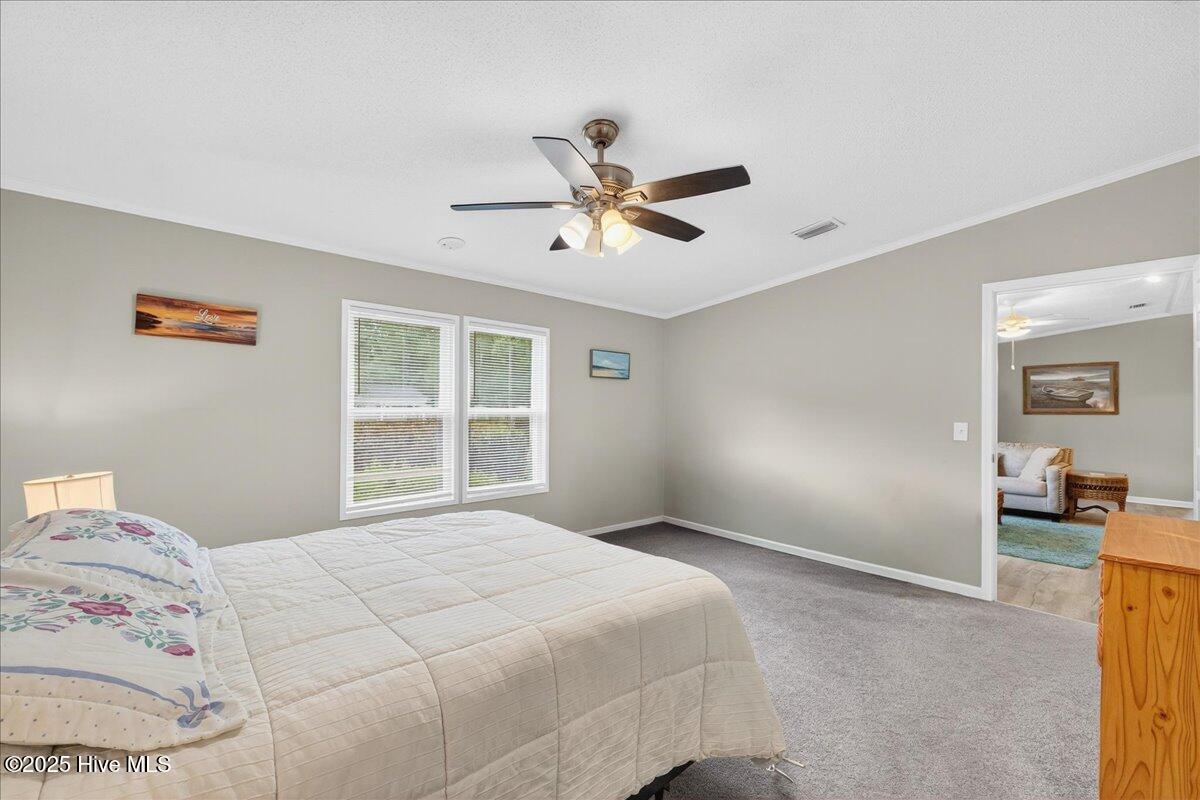 100535729 | Photo 31