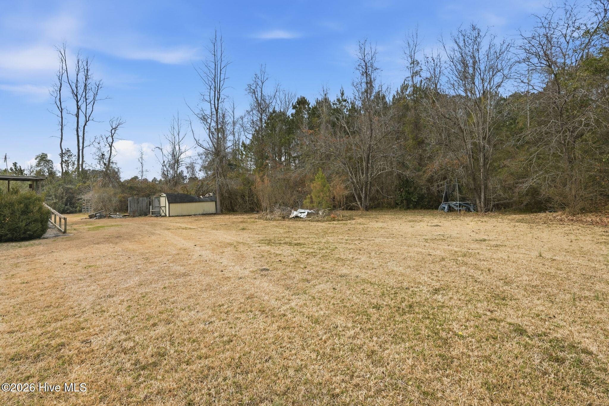 100556115 | Photo 100