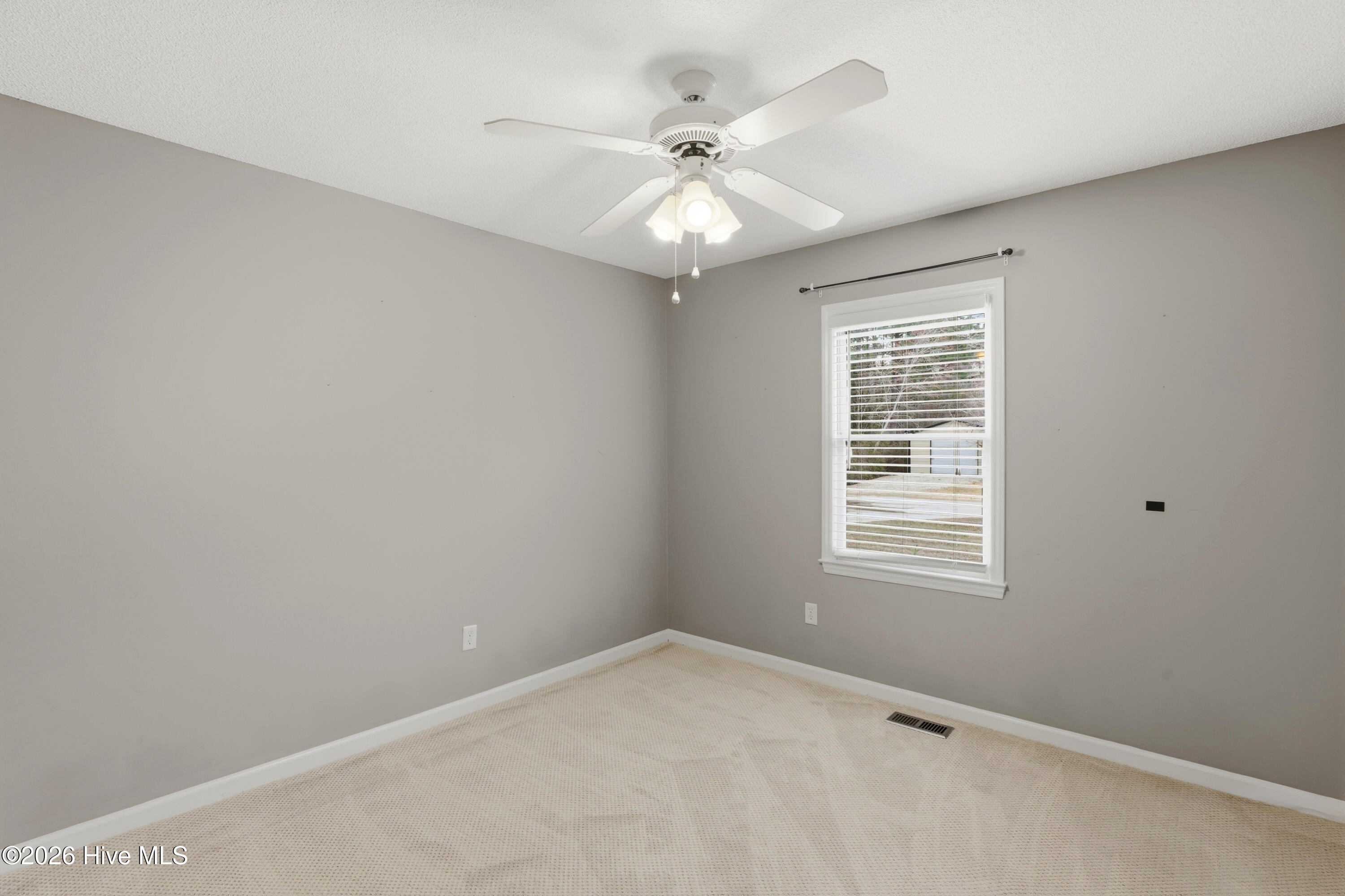 100553315 | Photo 18