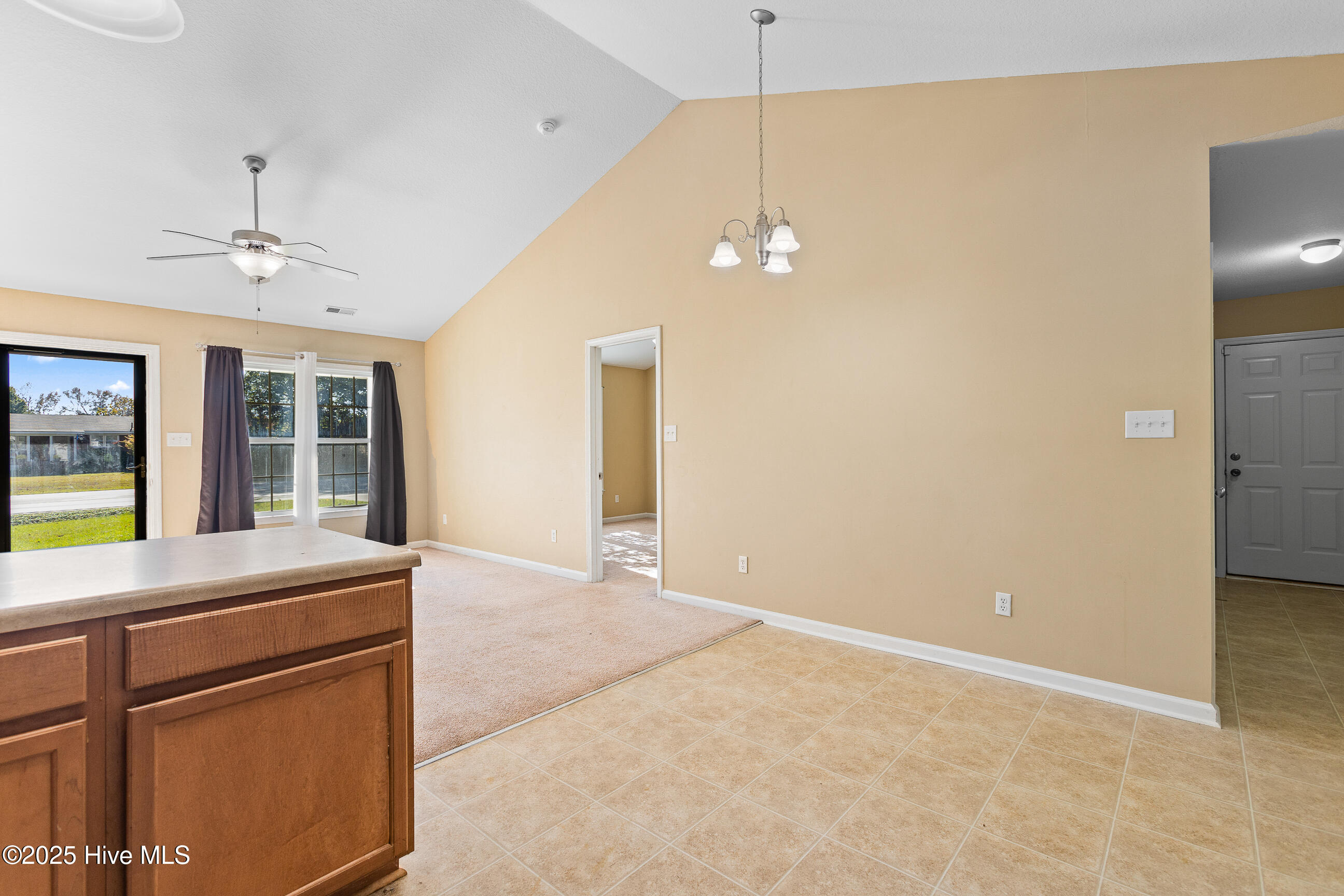 100541118 | Photo 10