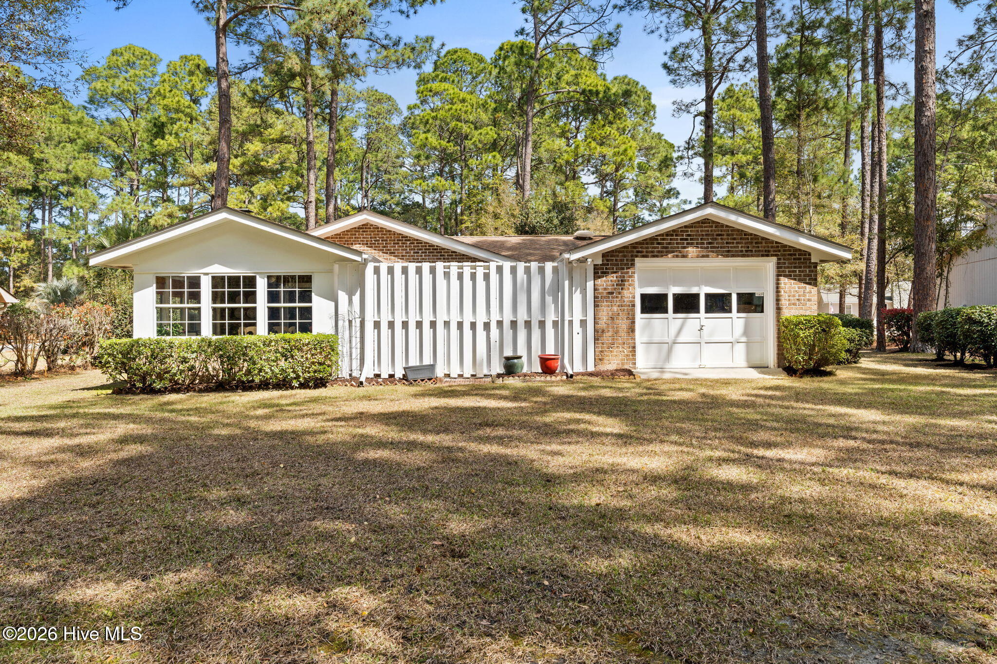 100564261 | Photo 34