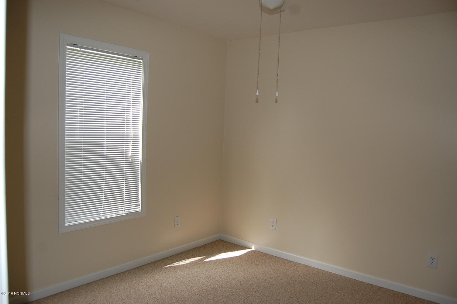 100540456 | Photo 14