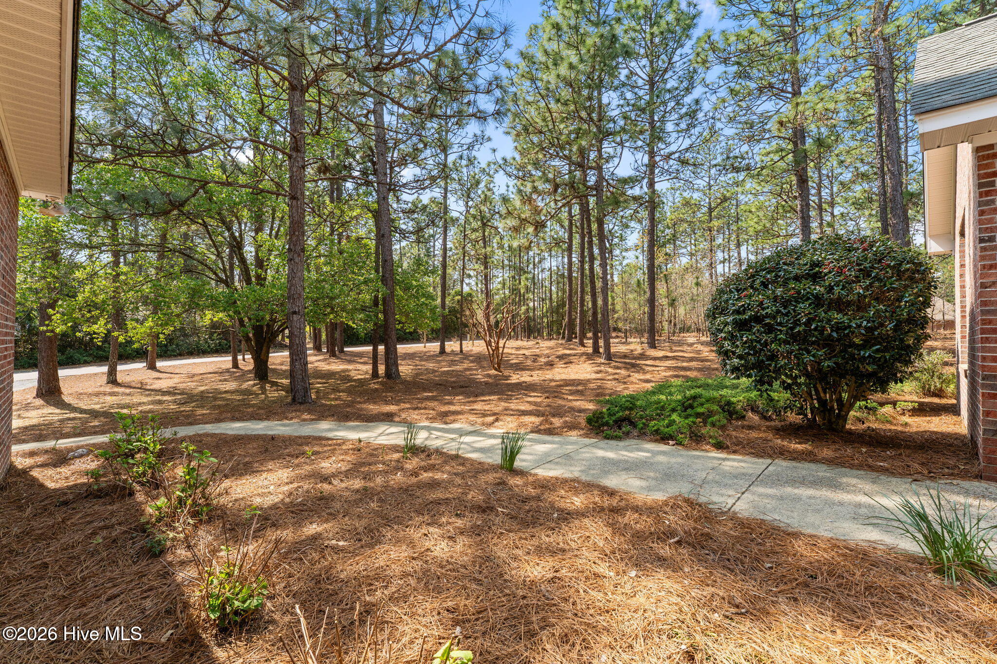 37-web-or-mls-DSC03986