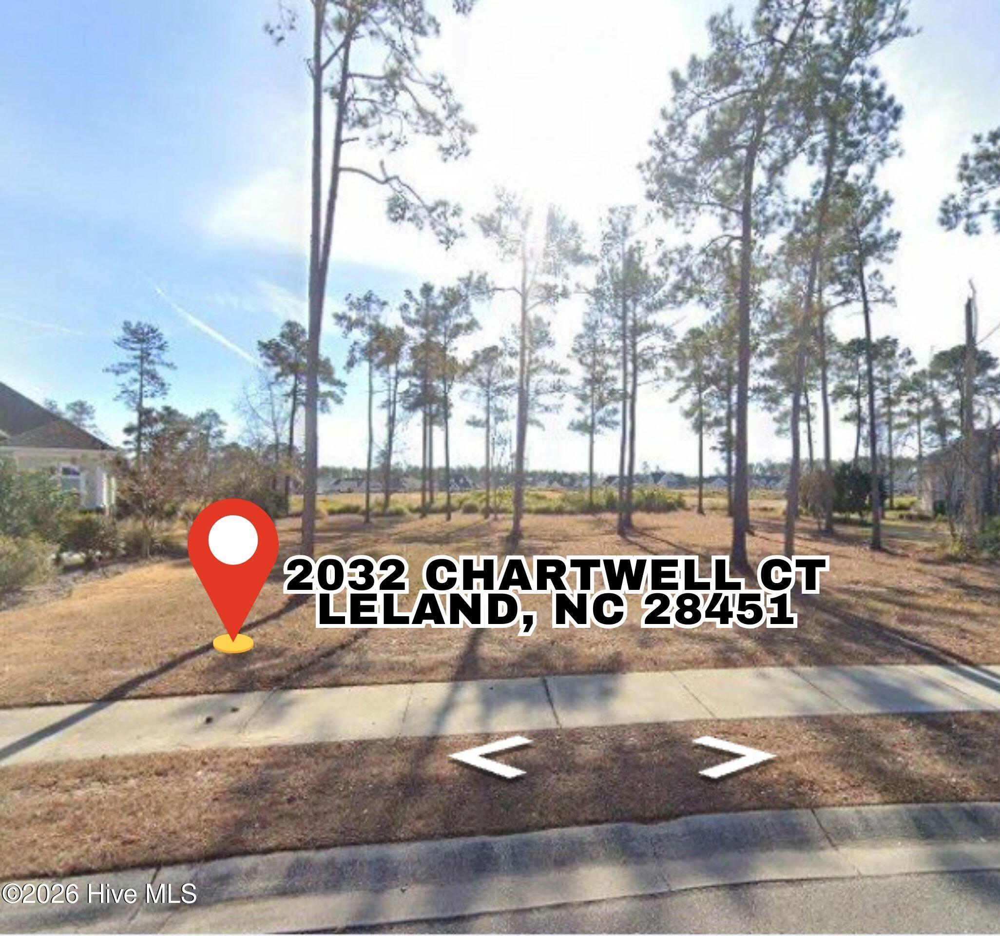 100557146 | Photo 15