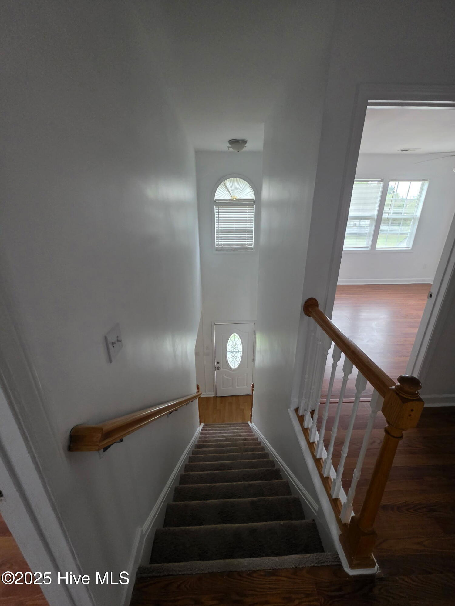 100521000 | Photo 13