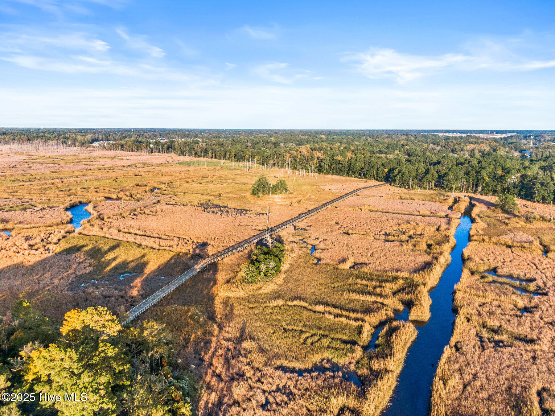 100537930 | Photo 51