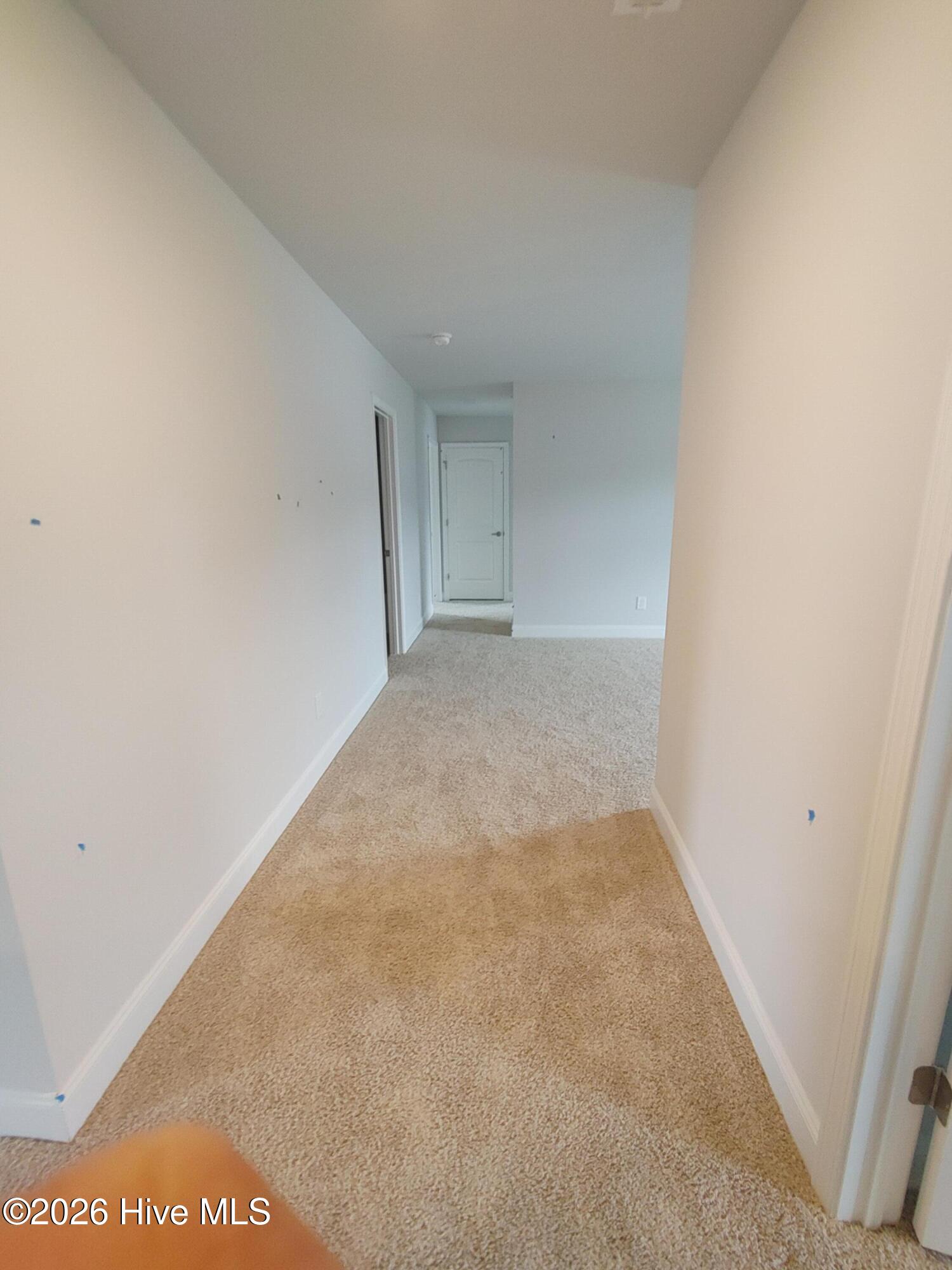 100547137 | Photo 11