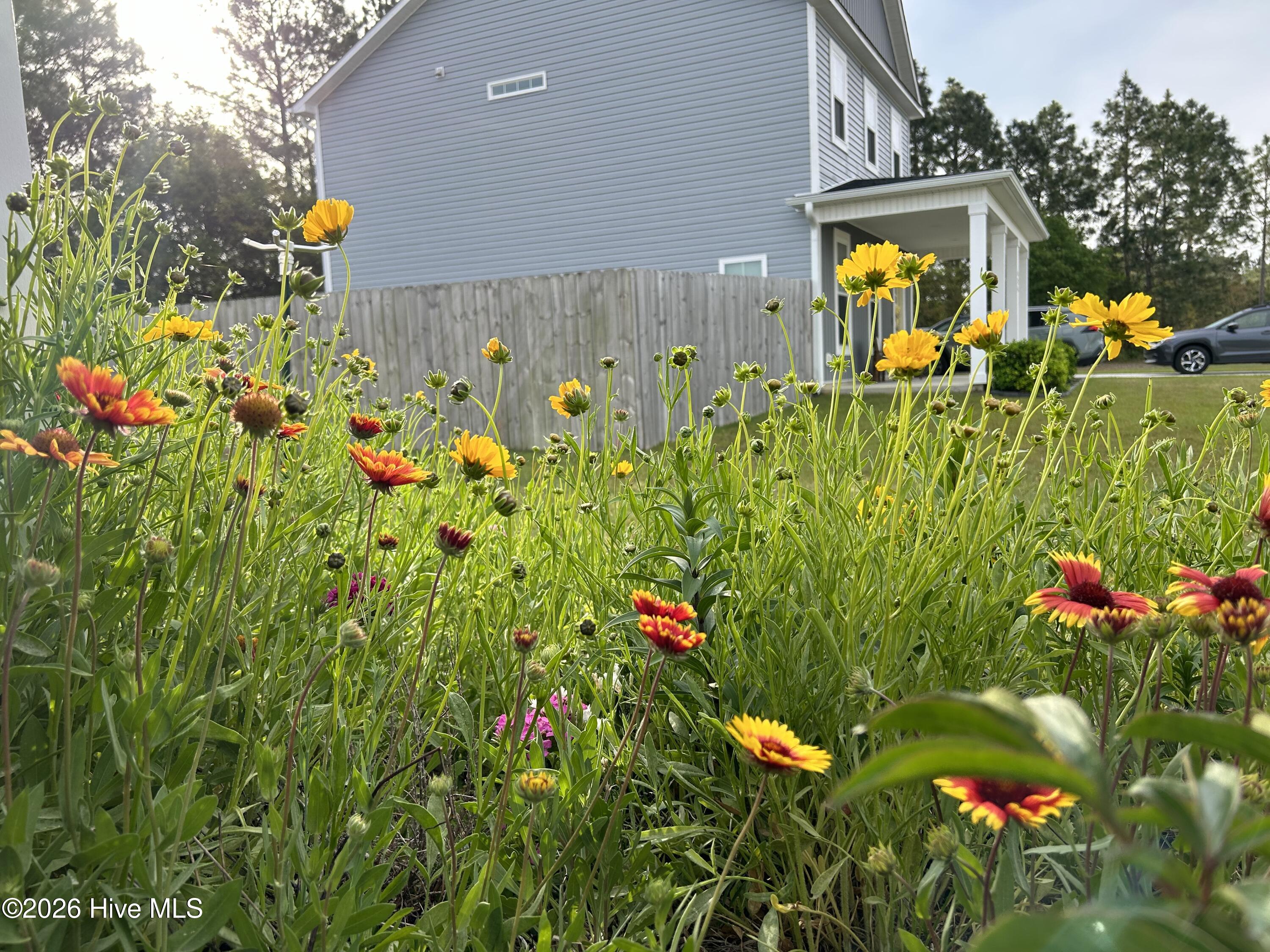 100549687 | Photo 73