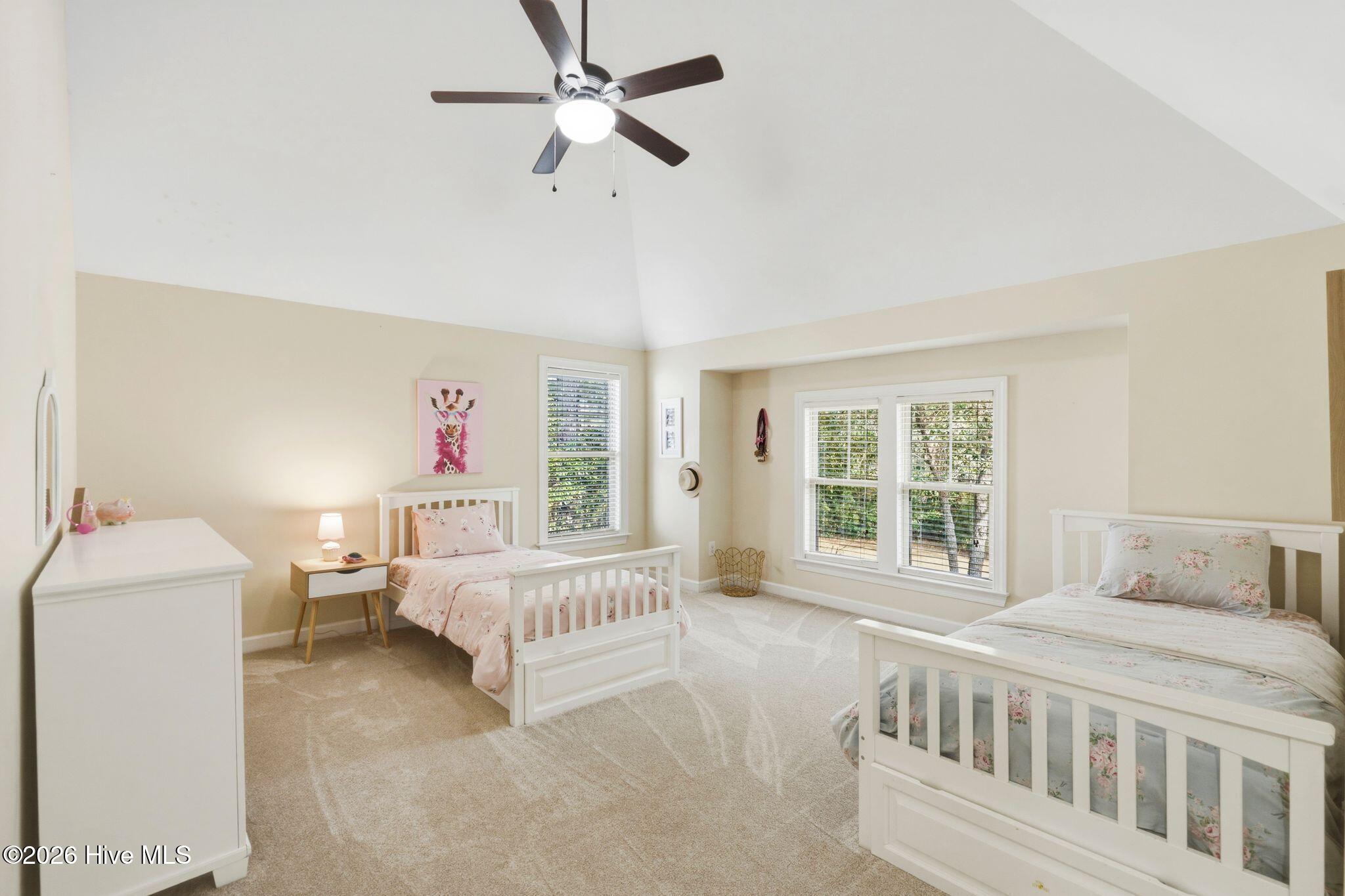 100562110 | Photo 48