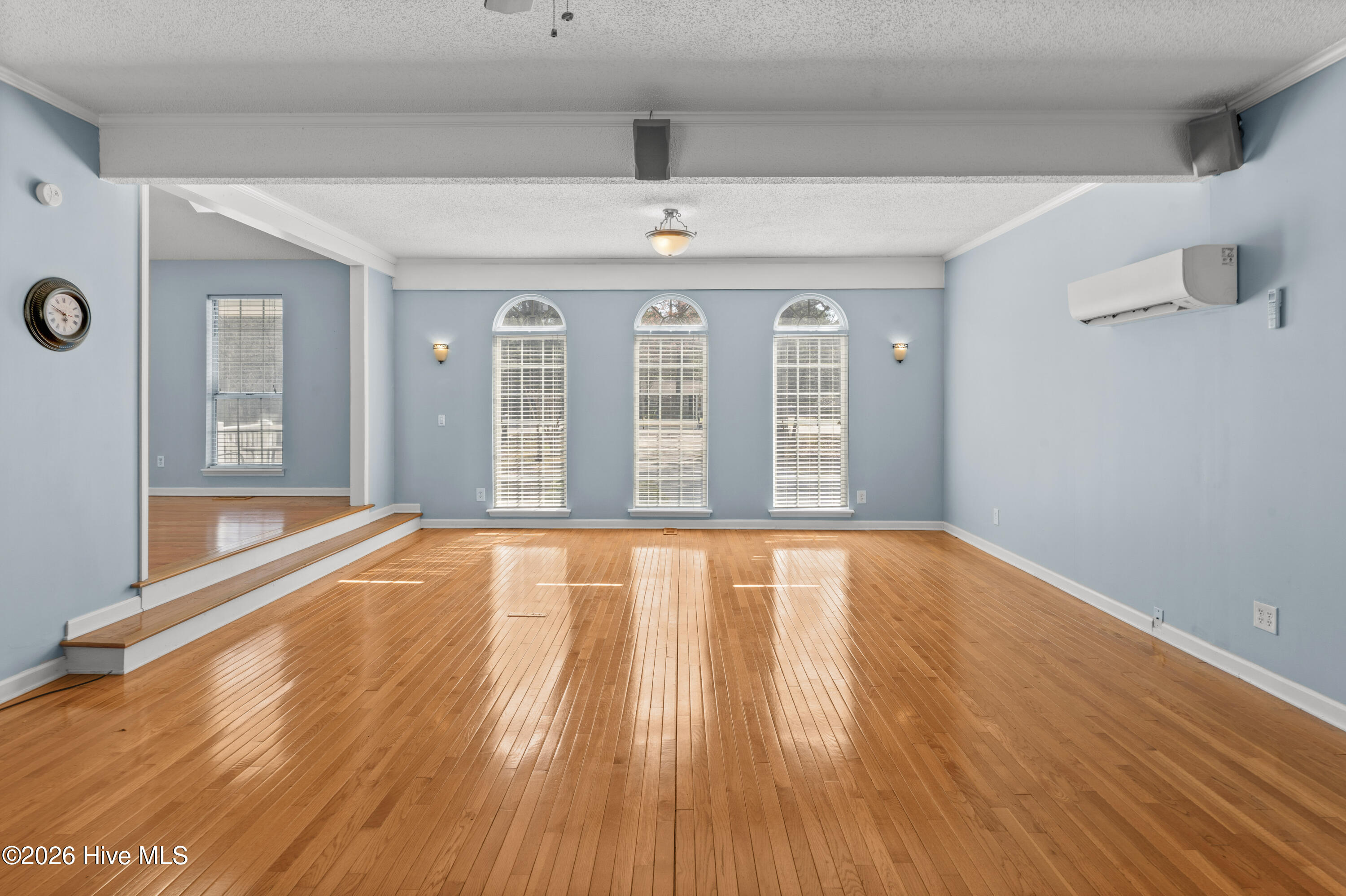 100558739 | Photo 16