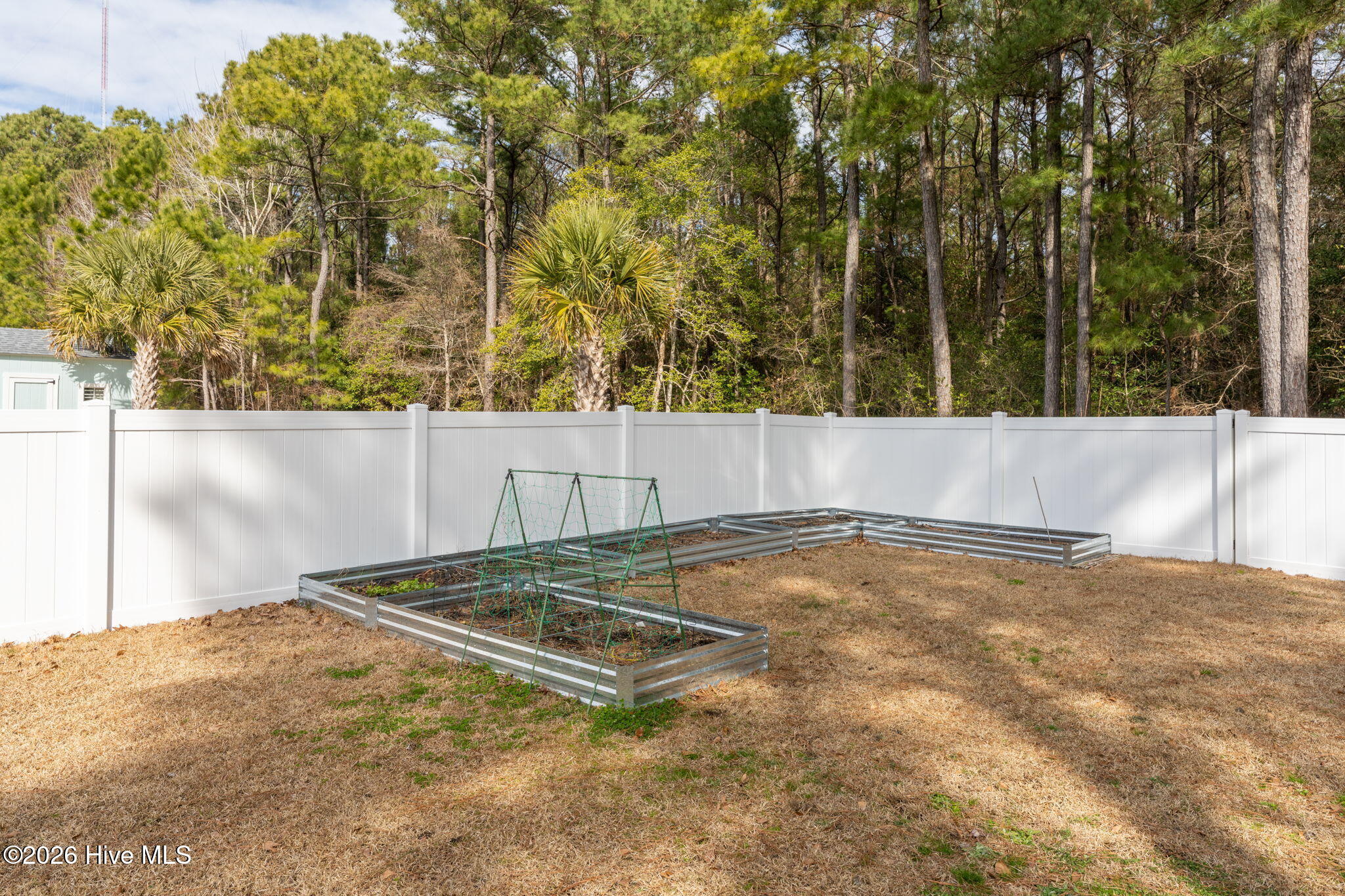 100555152 | Photo 46