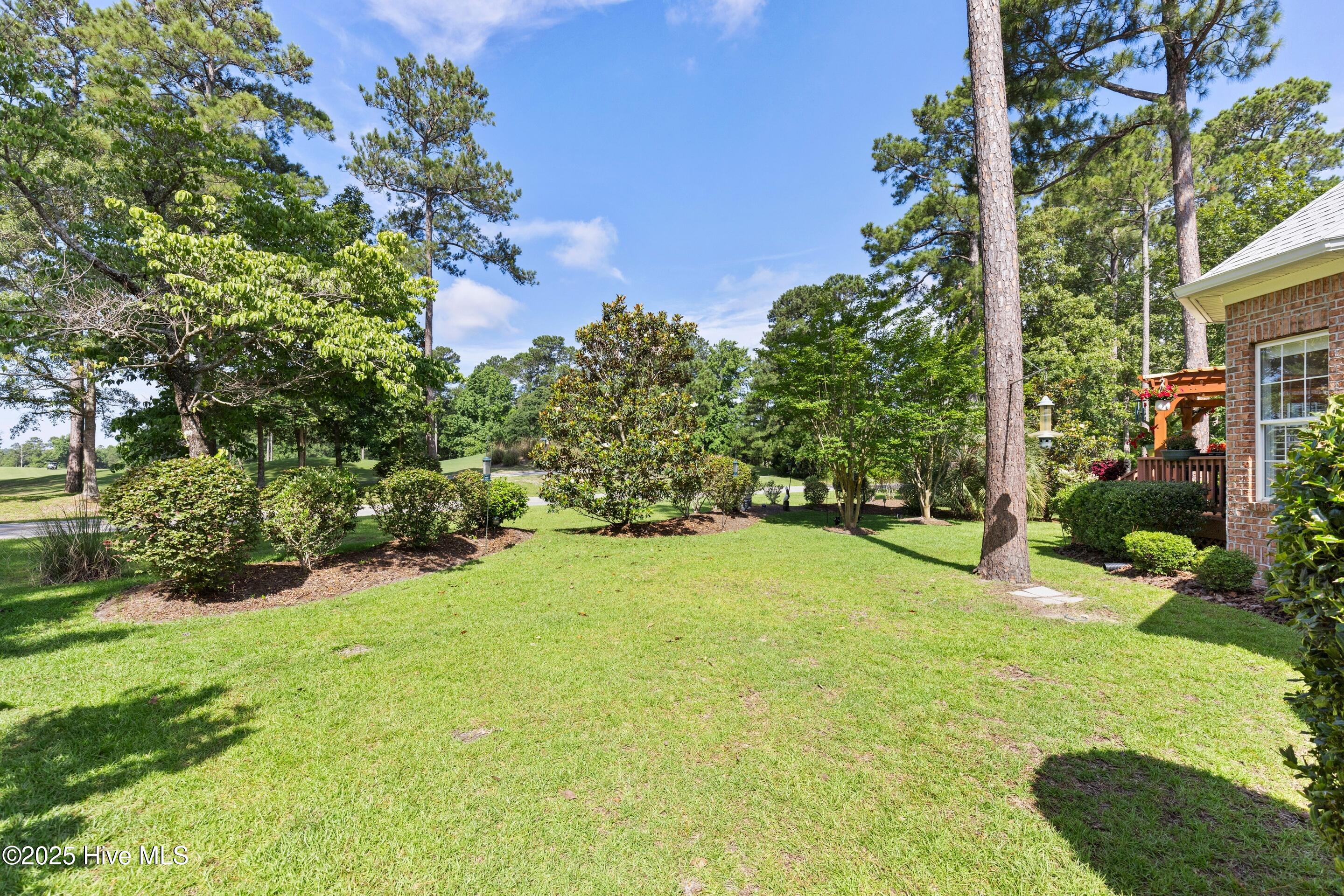 100536475 | Photo 53