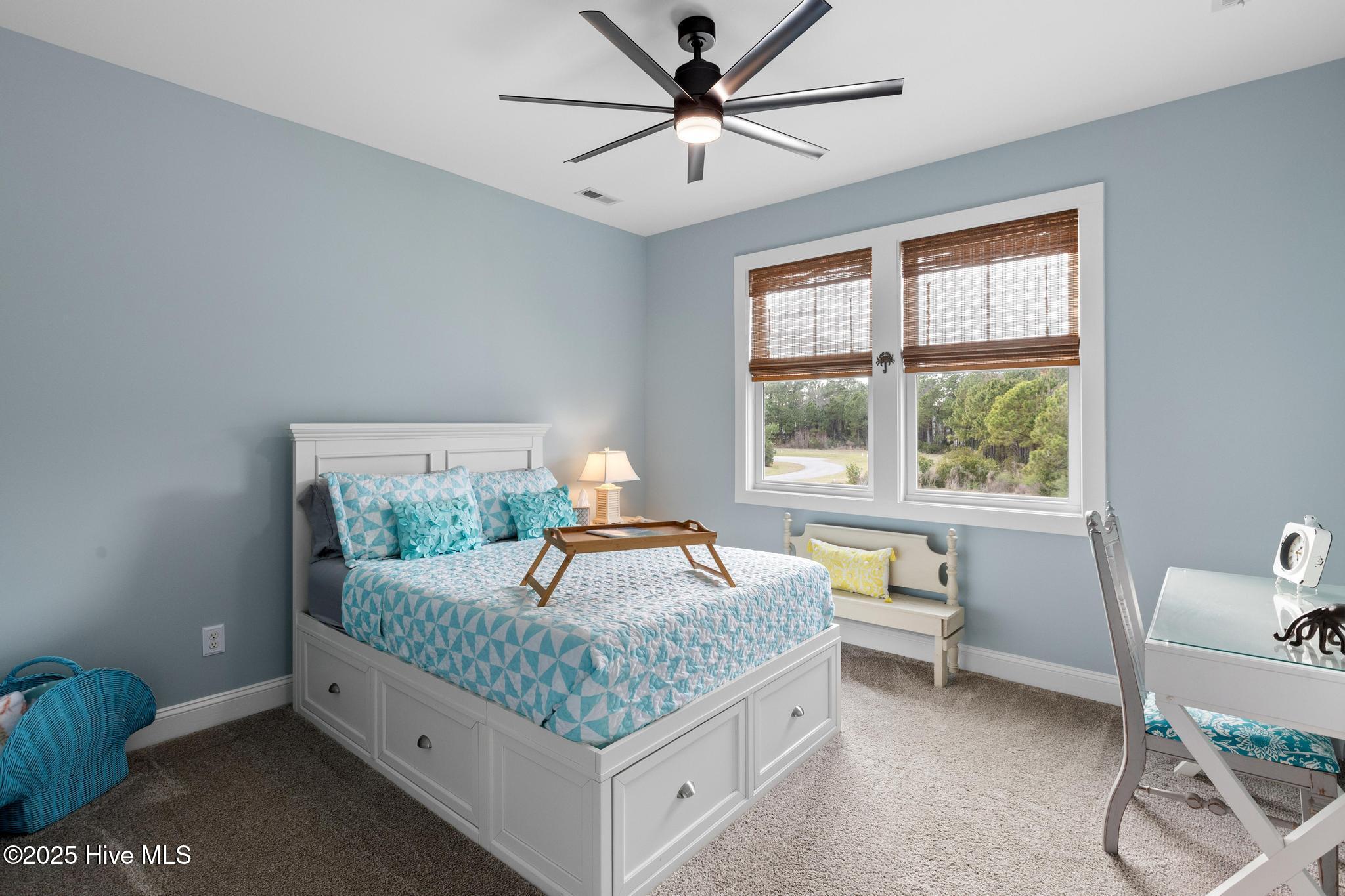 100554502 | Photo 24