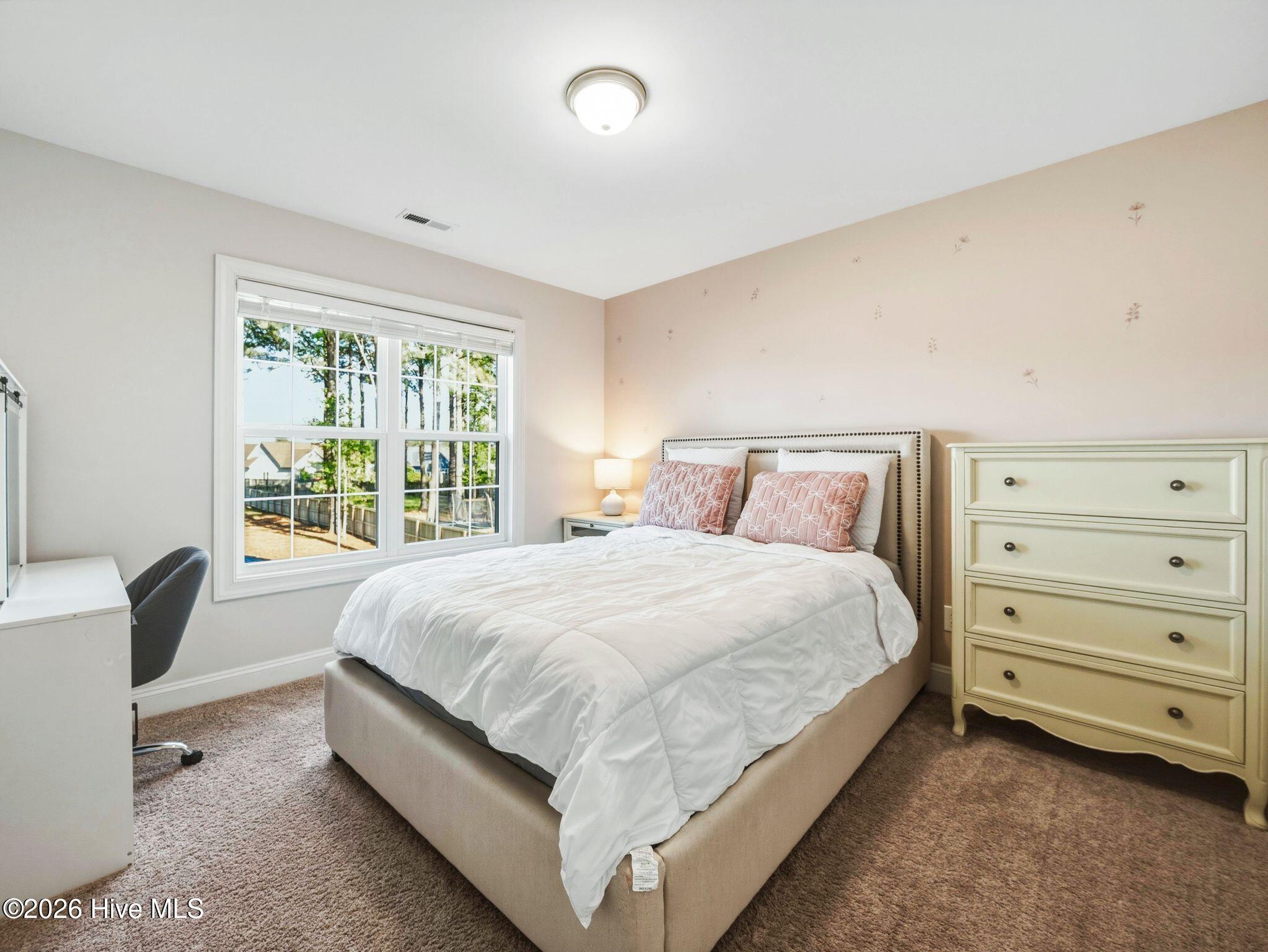 100570227 | Photo 34