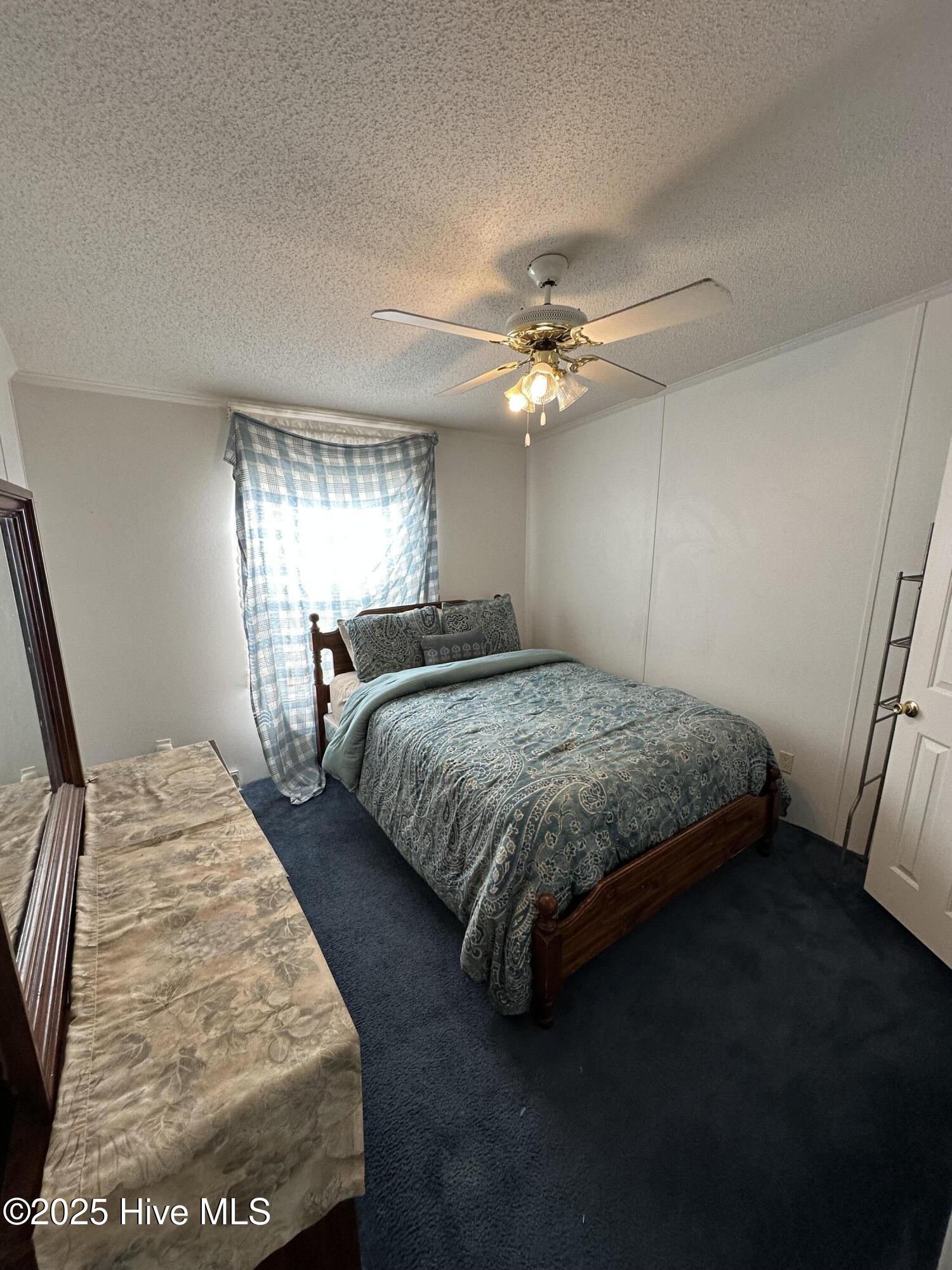 100539066 | Photo 12