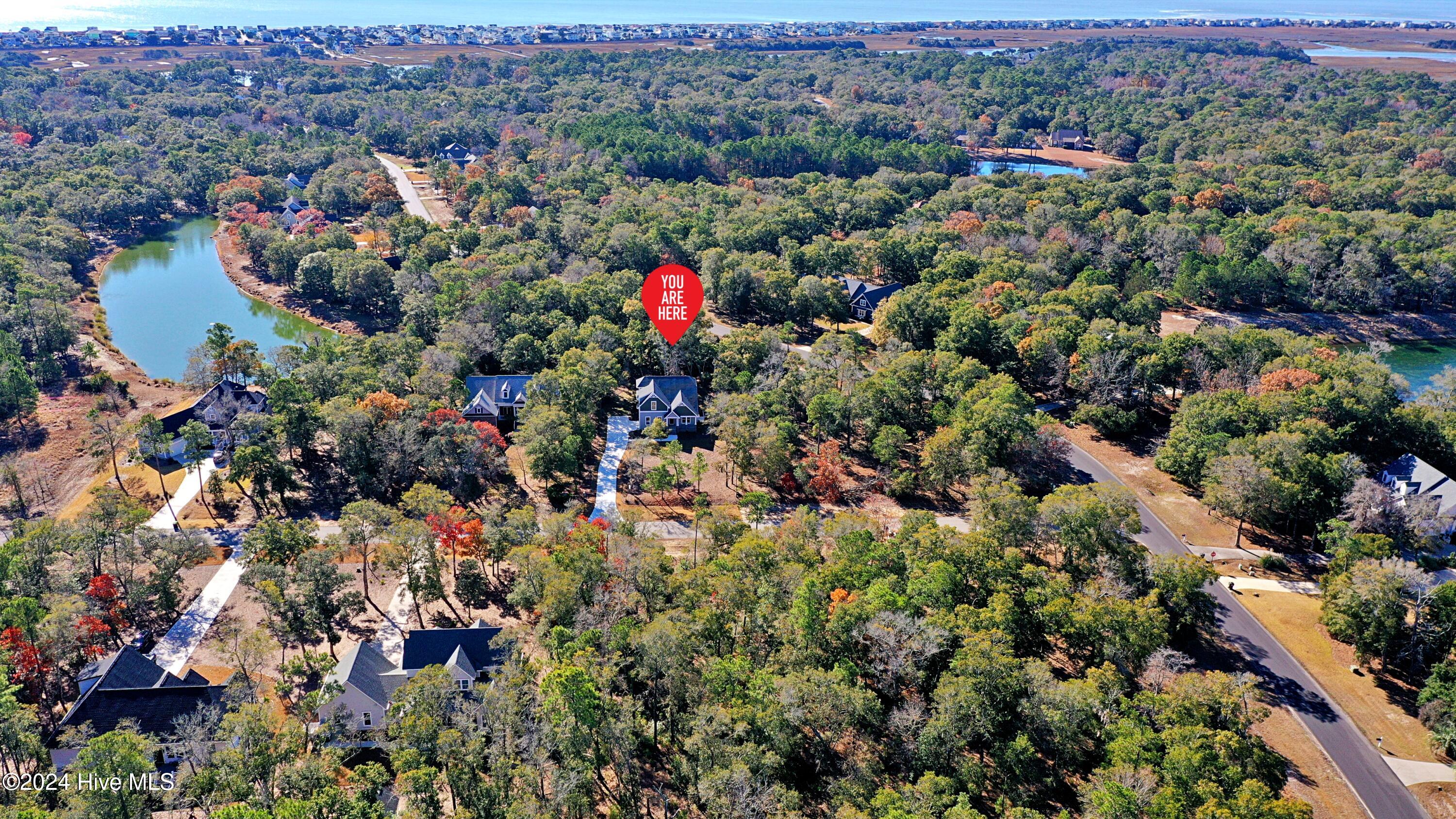 100481314 | Photo 63