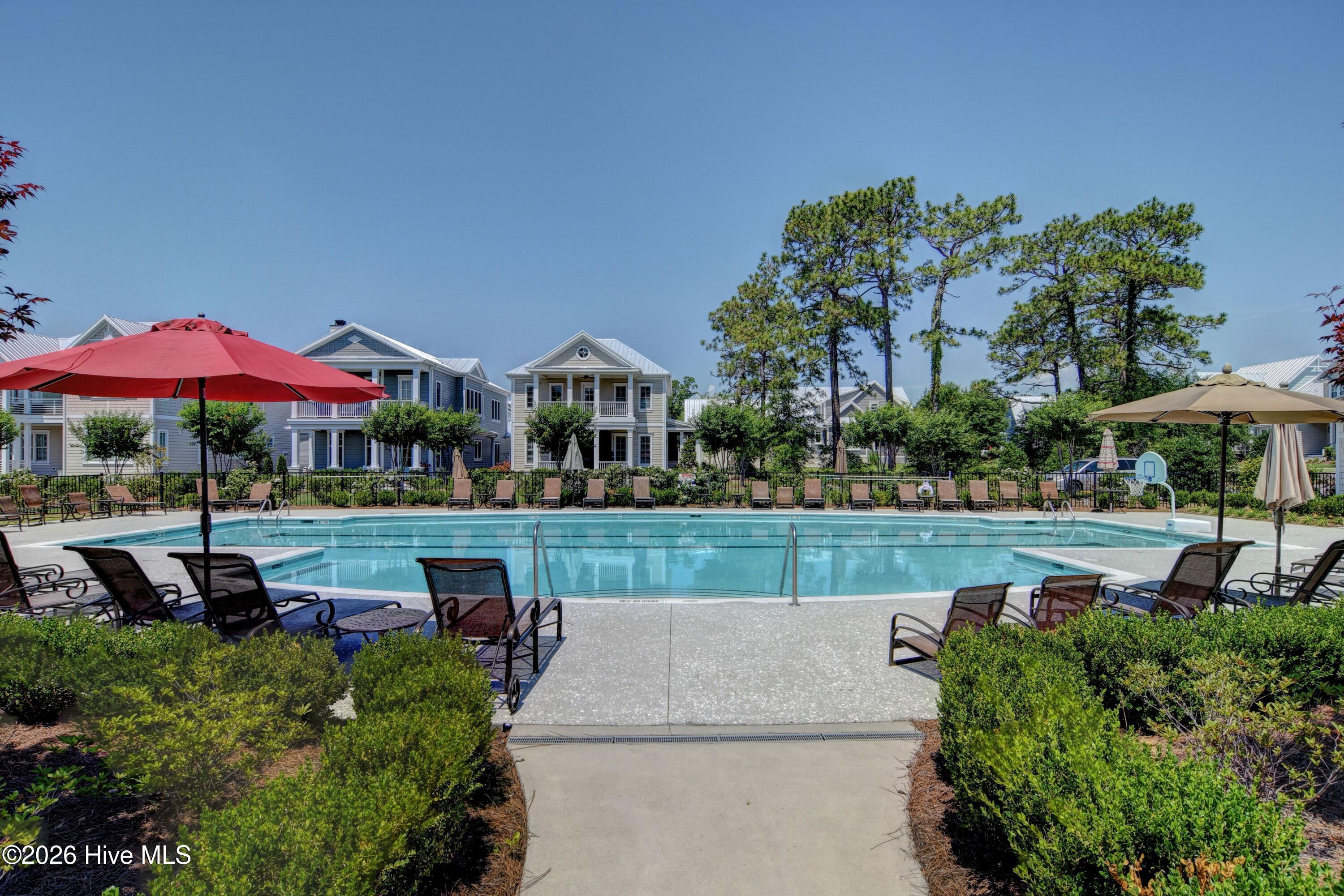 100549123 | Photo 41