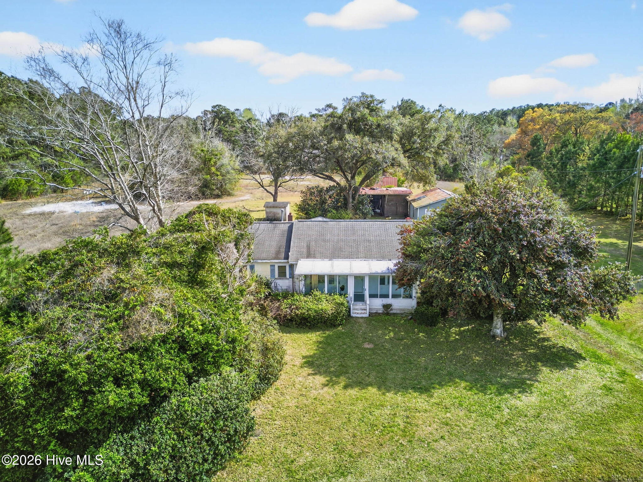 100560729 | Photo 10