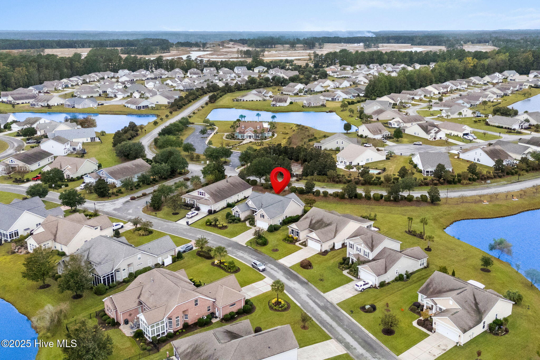 100538854 | Photo 50