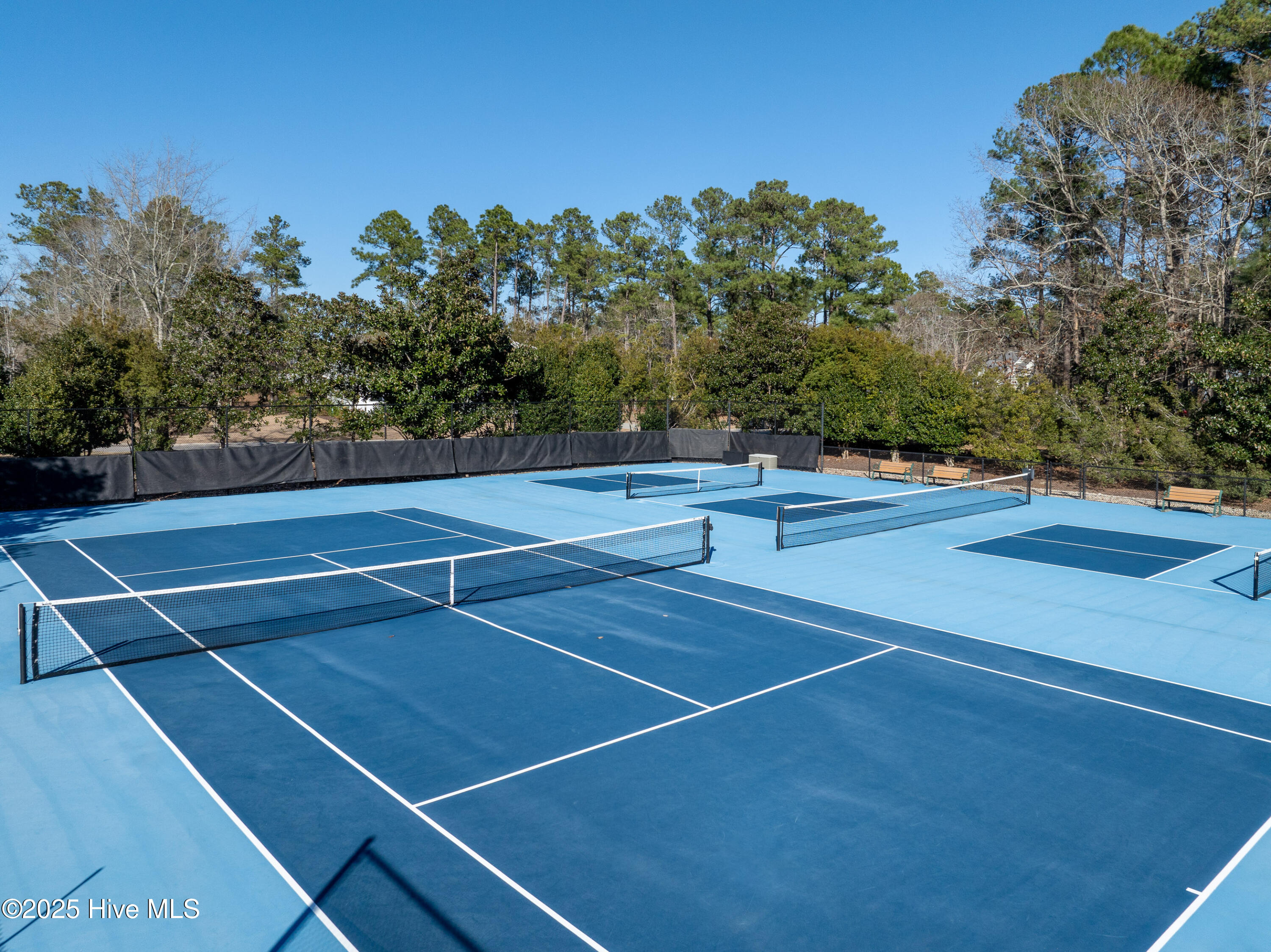 100536128 | Photo 53