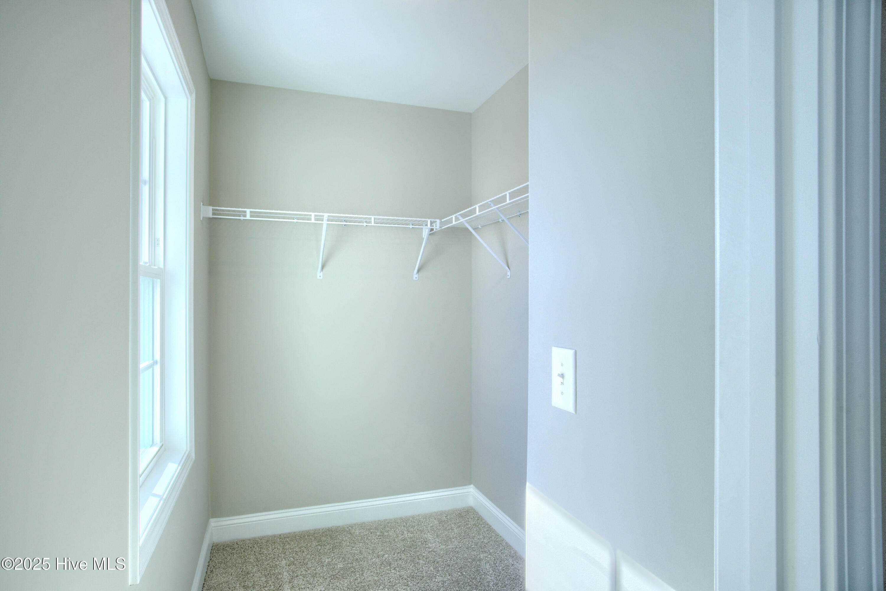 100495059 | Photo 18