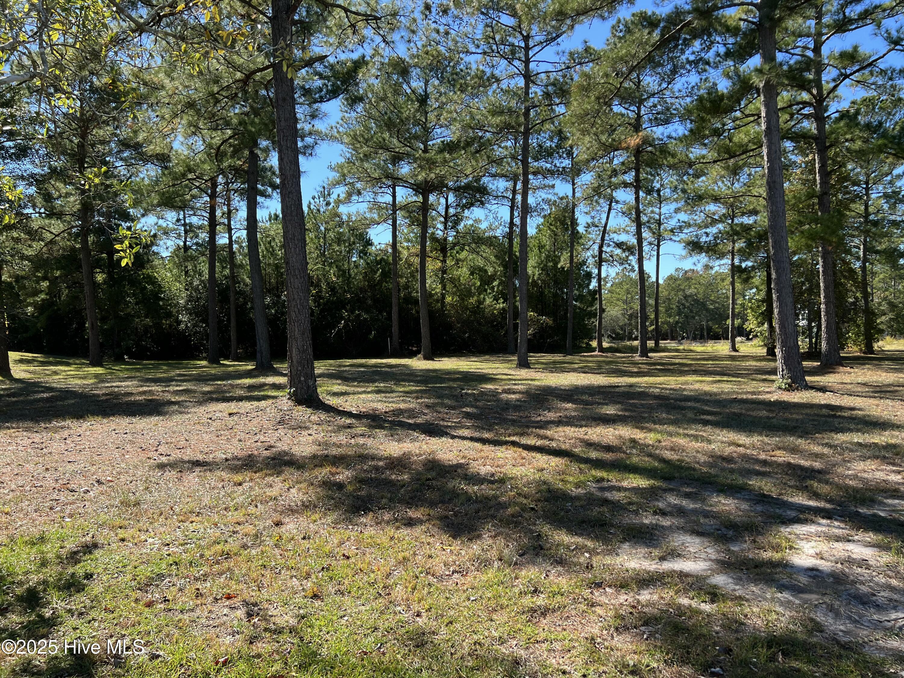 Carolina Barrier Islands Carolina Barrier Islands