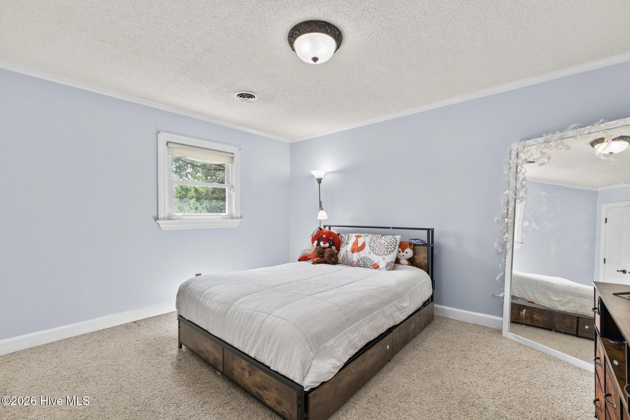 100563926 | Photo 40