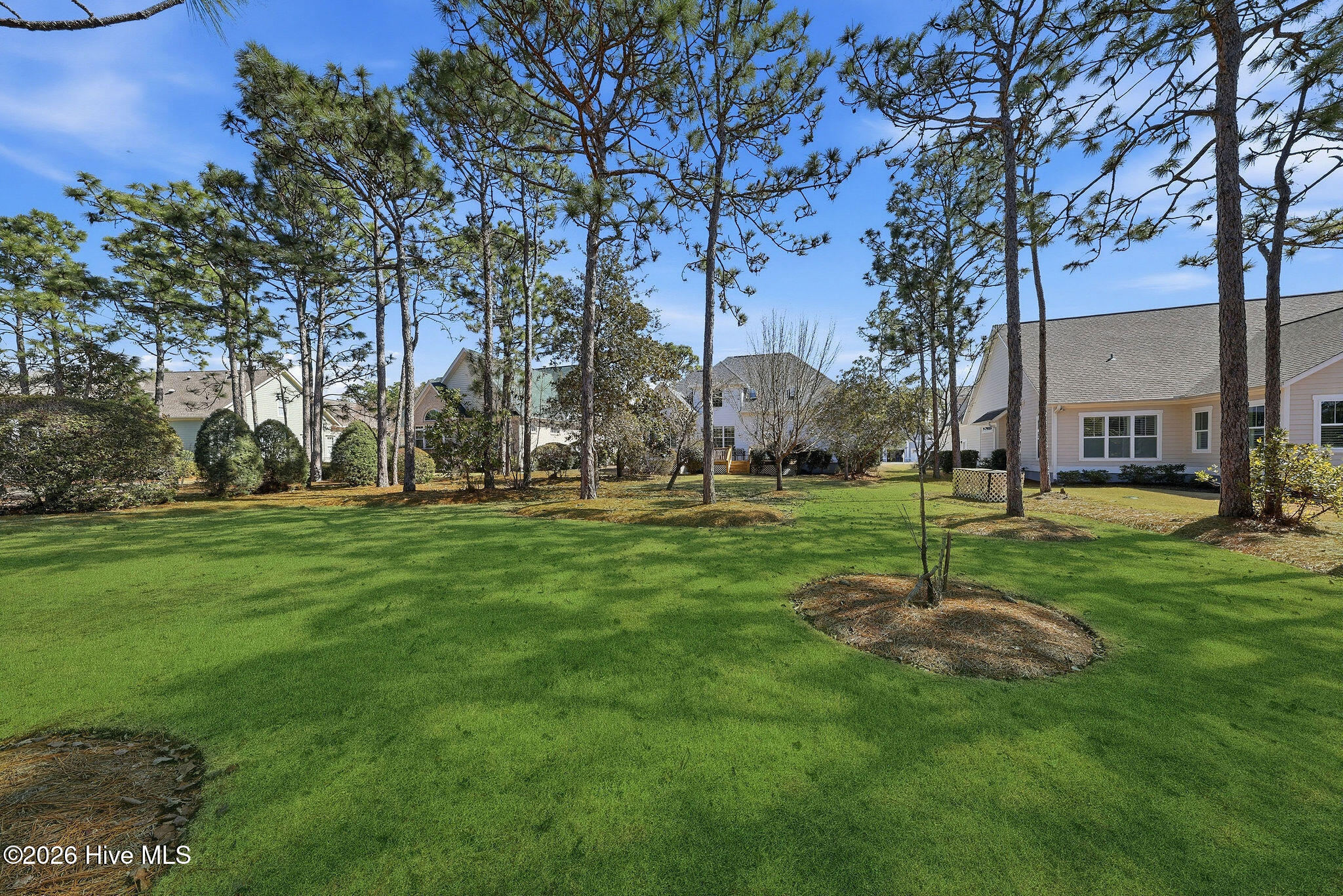 100558304 | Photo 21