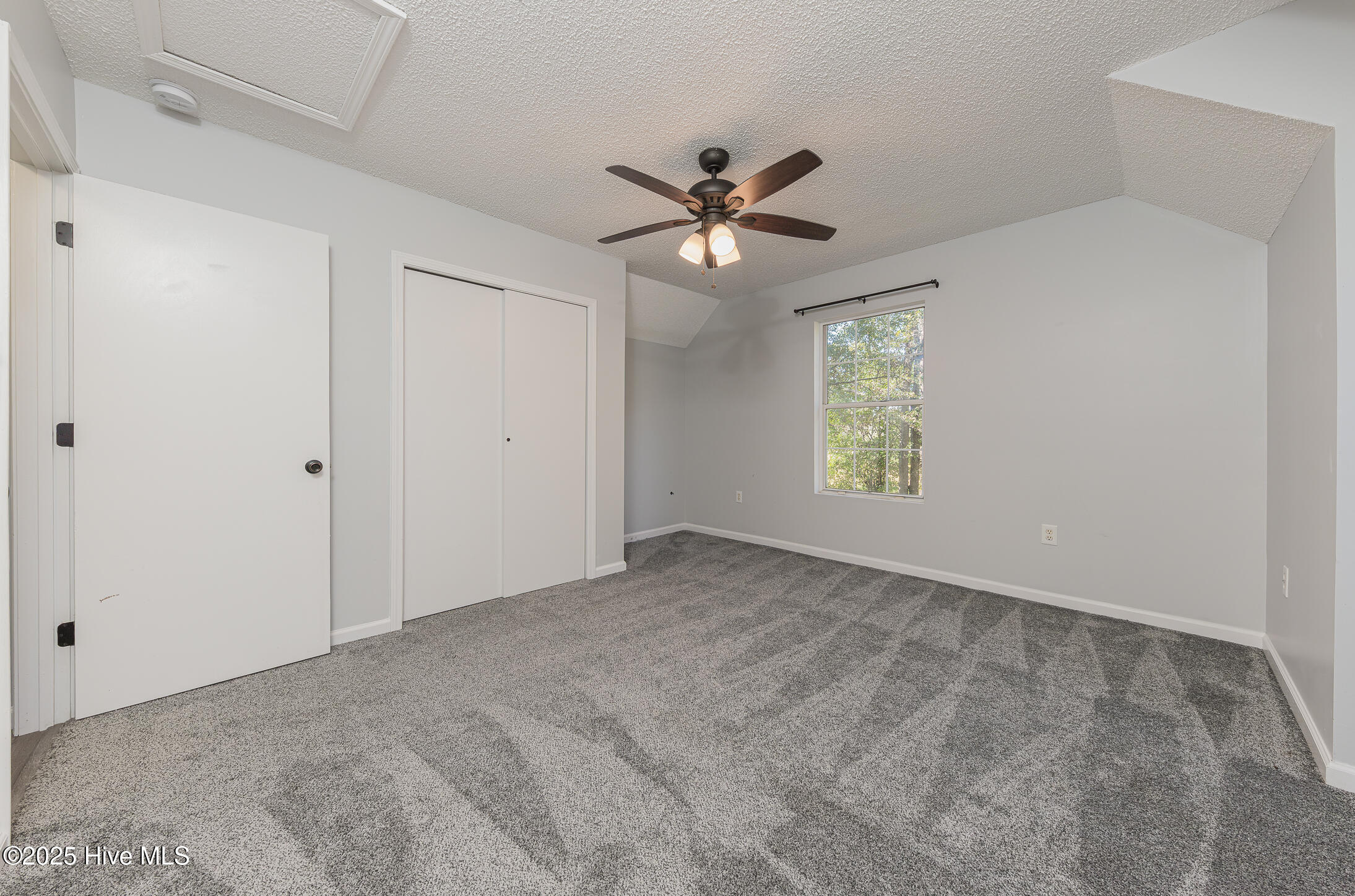 100537382 | Photo 22