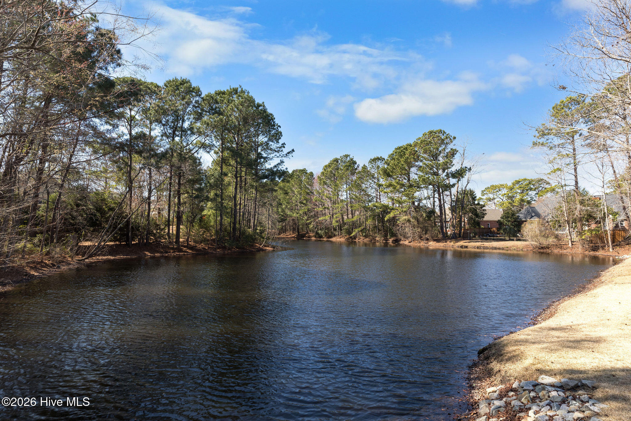 100556784 | Photo 55