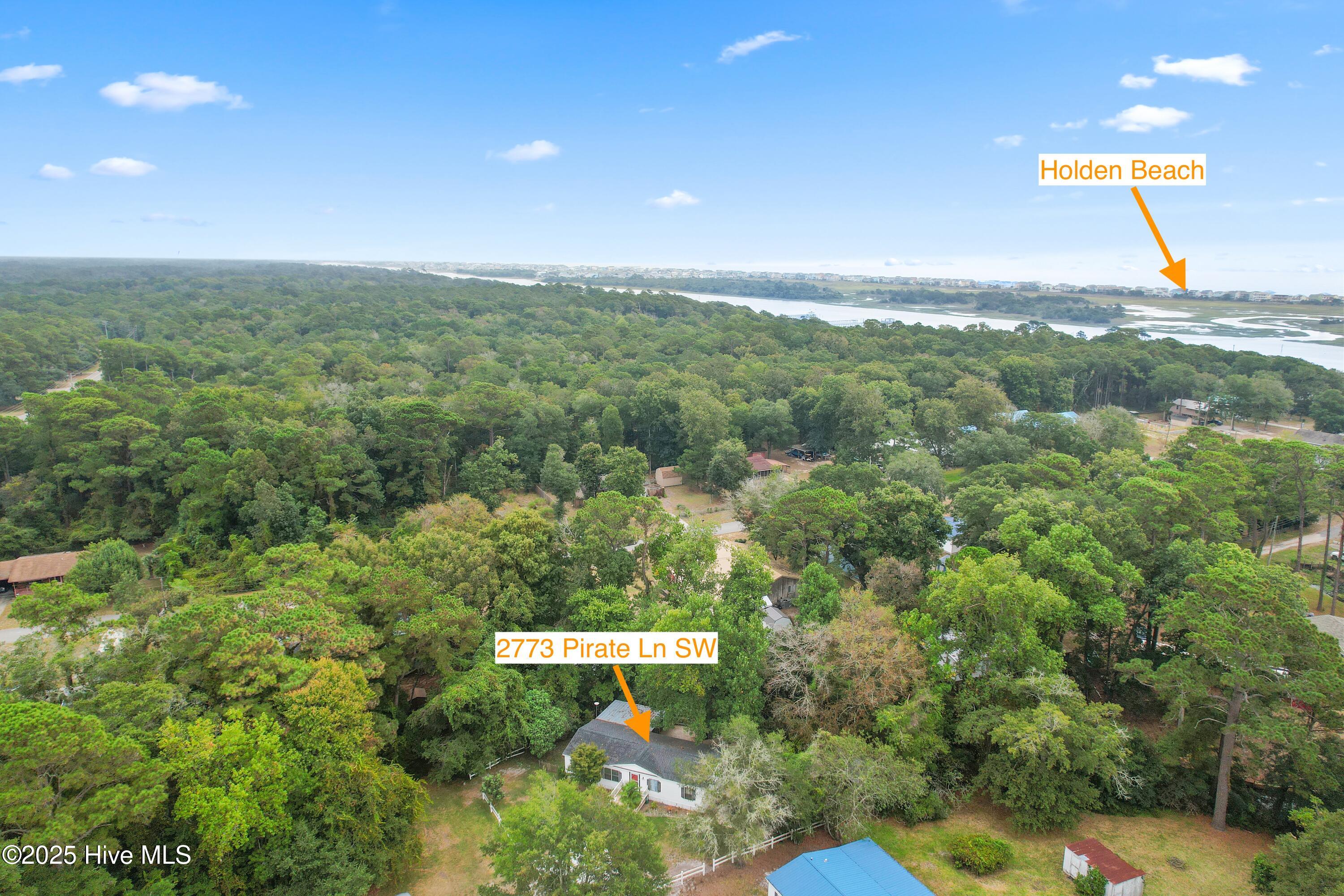 100565495 | Photo 46