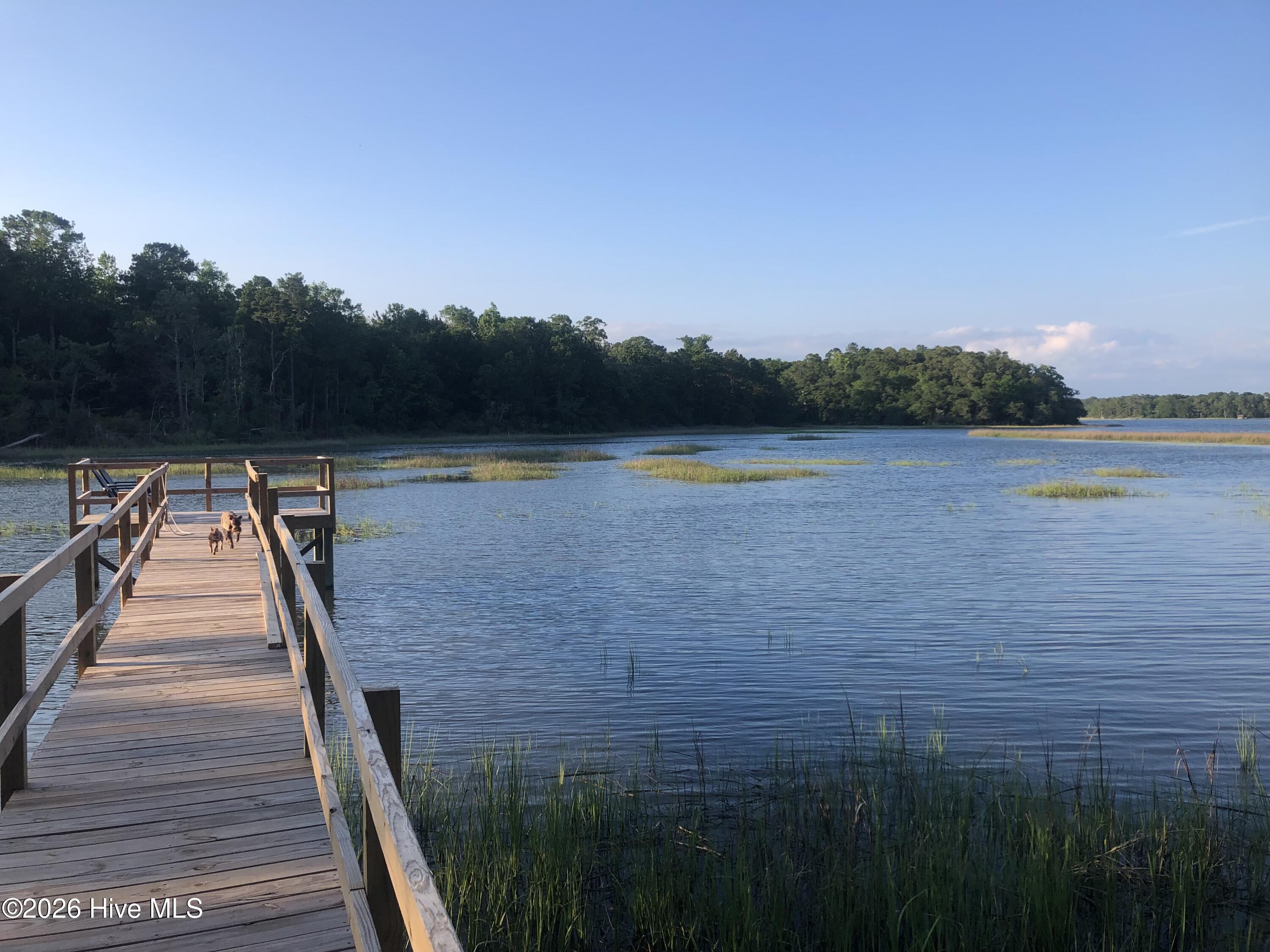 100559357 | Photo 24