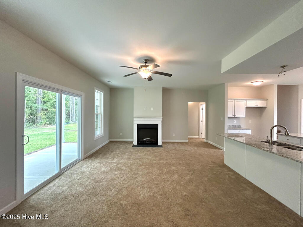 100513411 | Photo 28