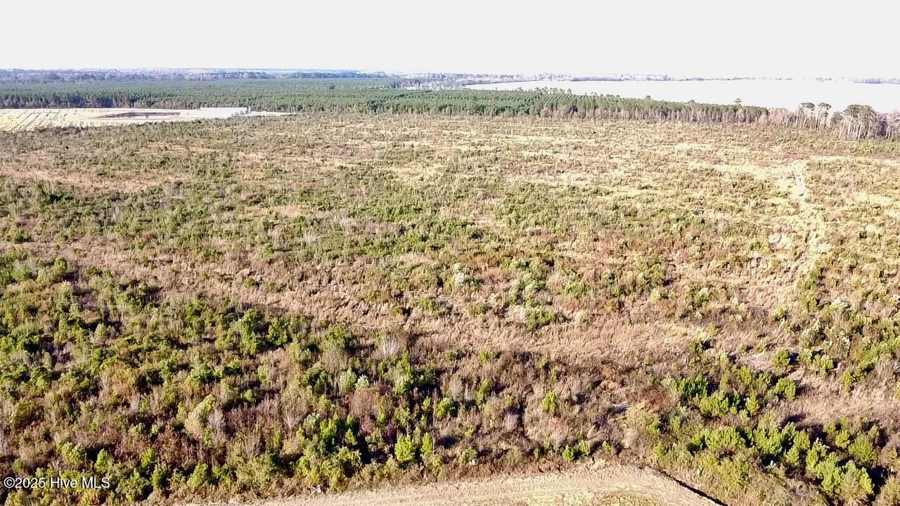 100541751 | Photo 11