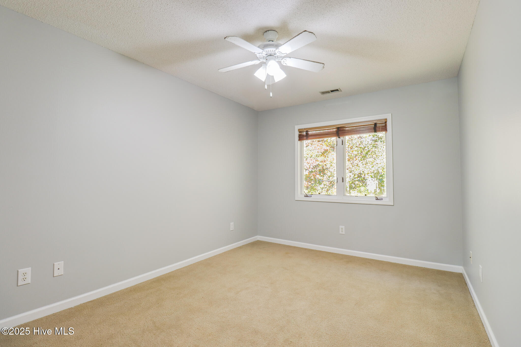 100541219 | Photo 12