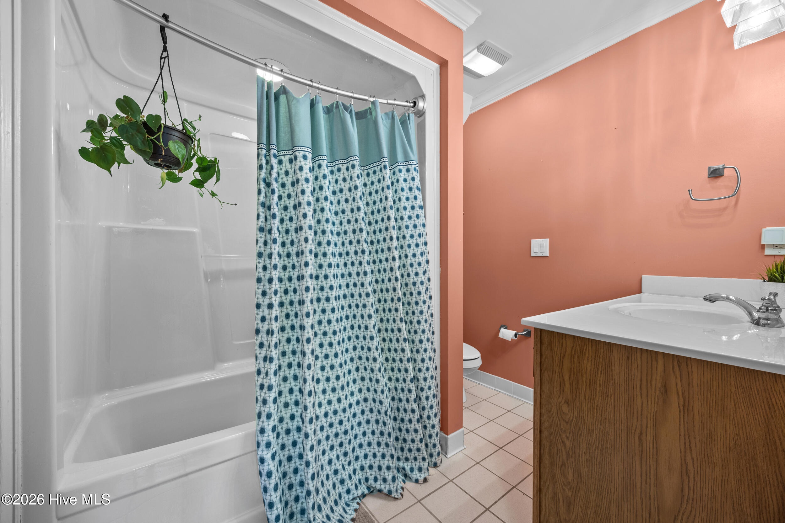 100555856 | Photo 26