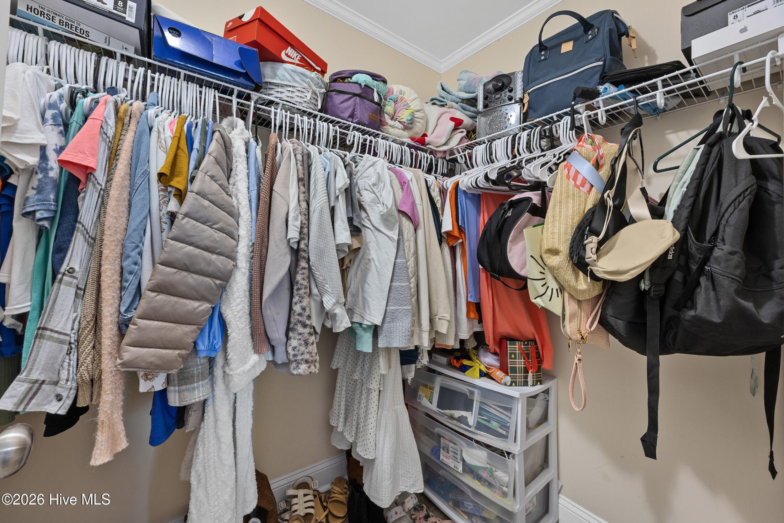 100564853 | Photo 28