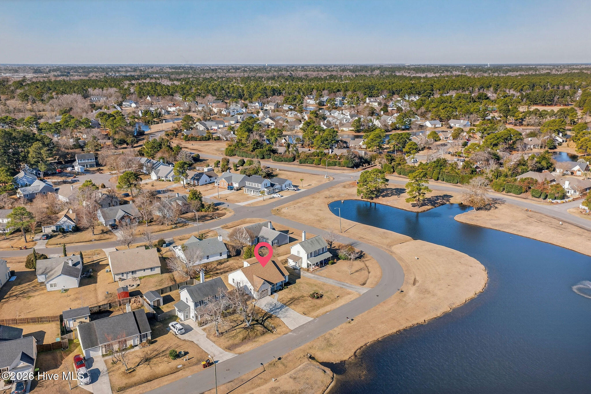 100554525 | Photo 39