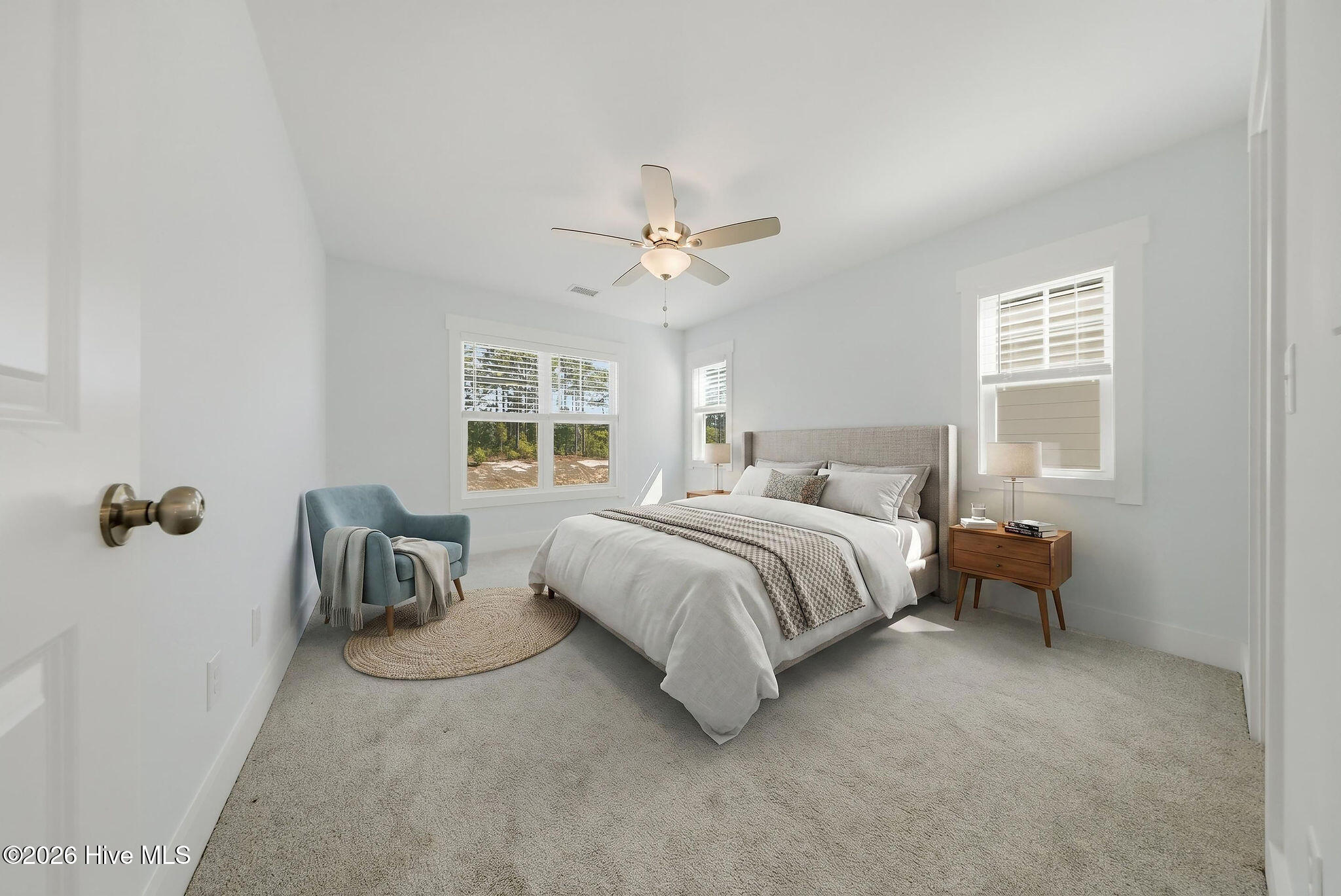 100569127 | Photo 30