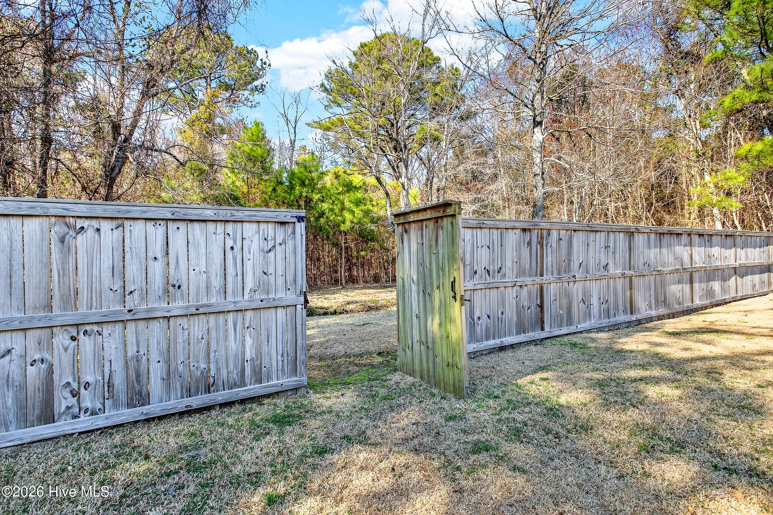 100557128 | Photo 23